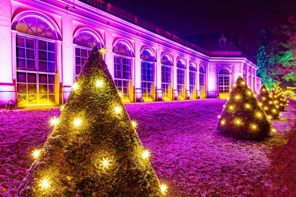 Christmas Garden Dresden