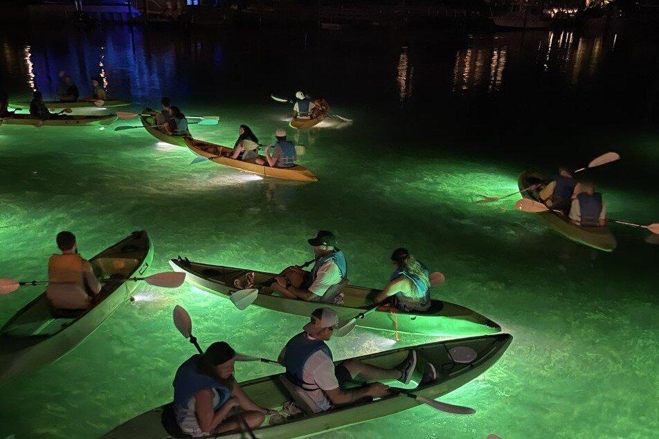 Sharkey's LED Glass Bottom Fish Feeding Night Tour in Clearwater