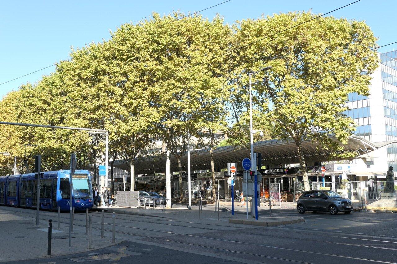 Halles Jacques Coeur