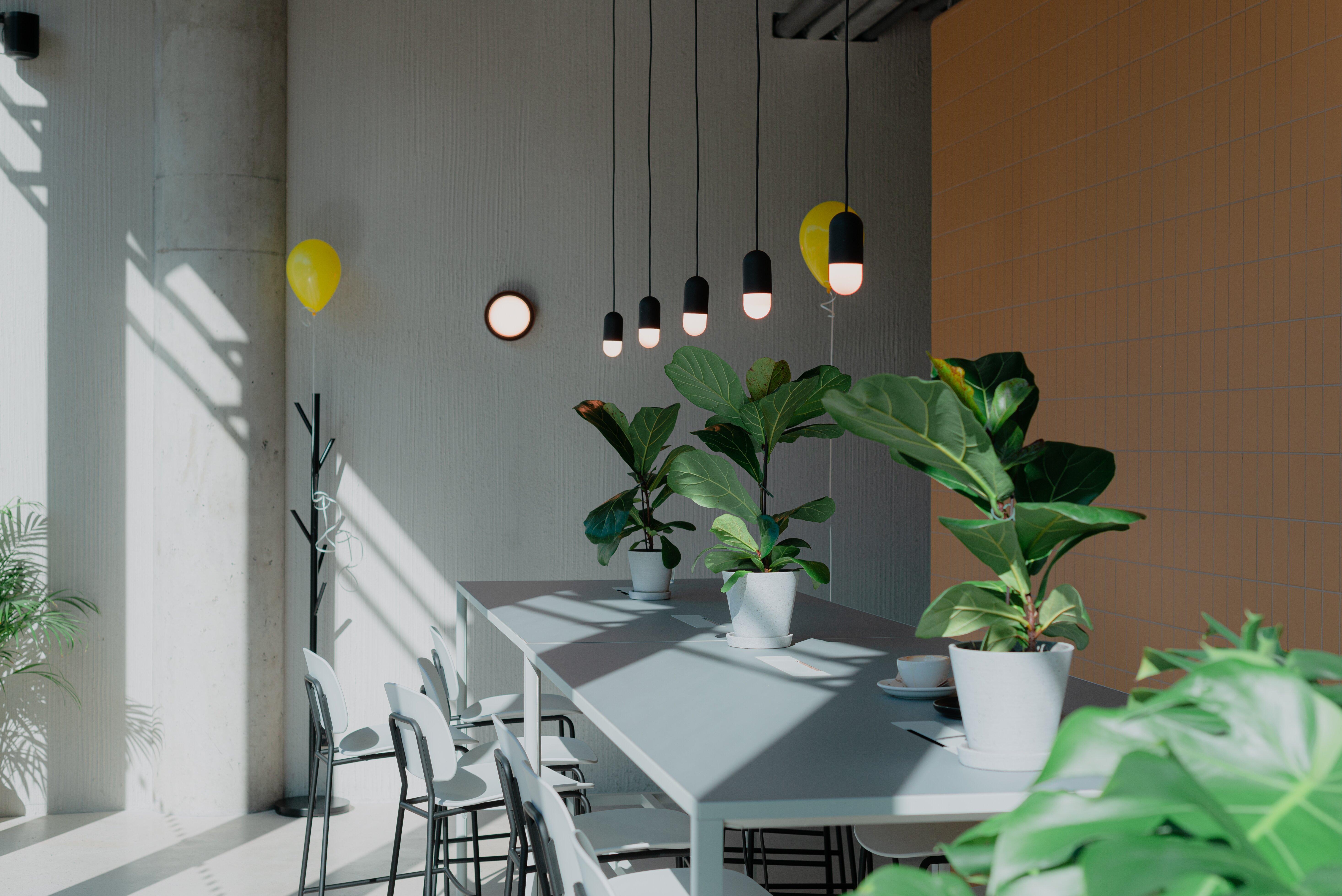 The Miners Coffee Bakery