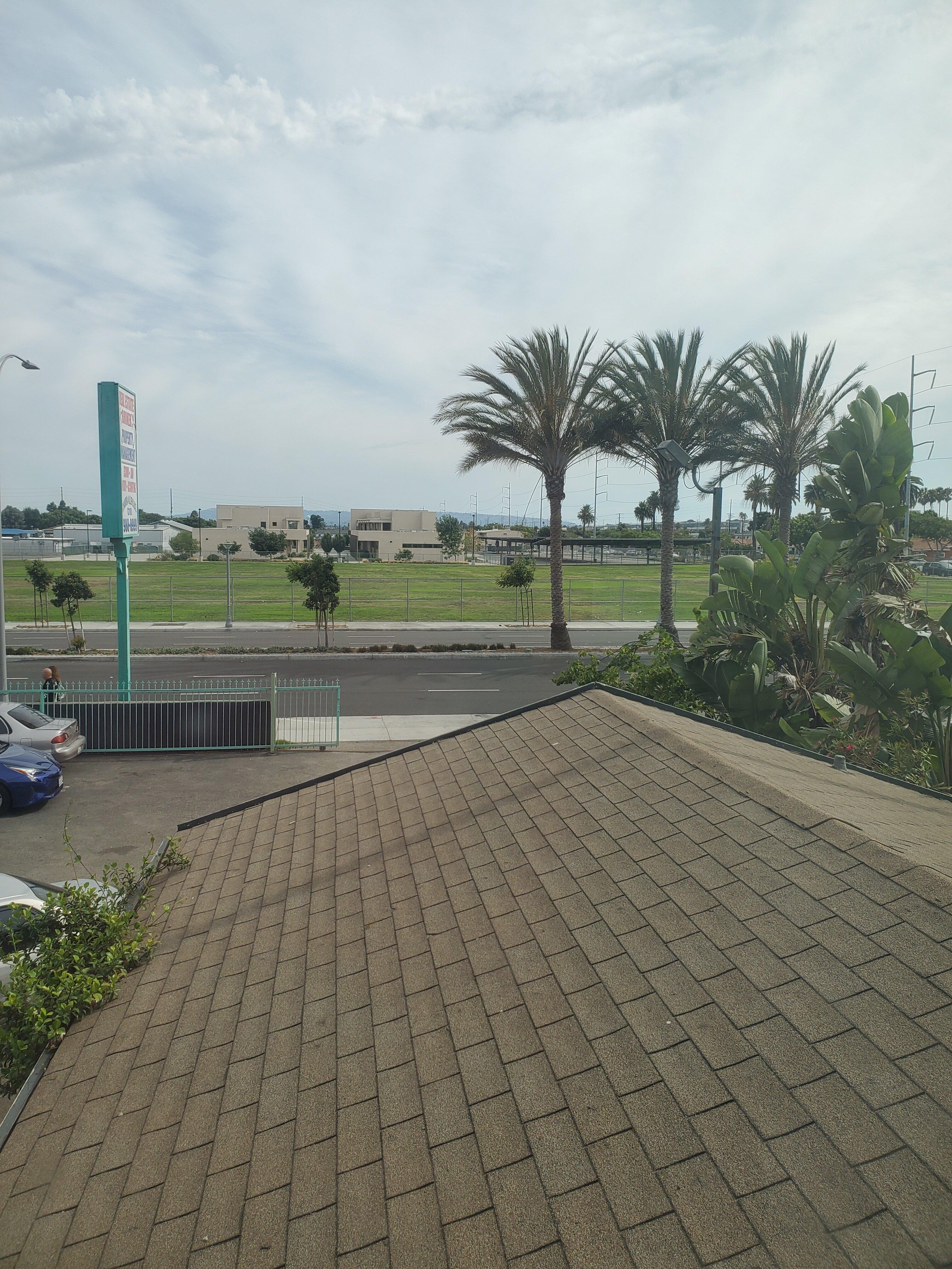 Photo by Curious31331927610