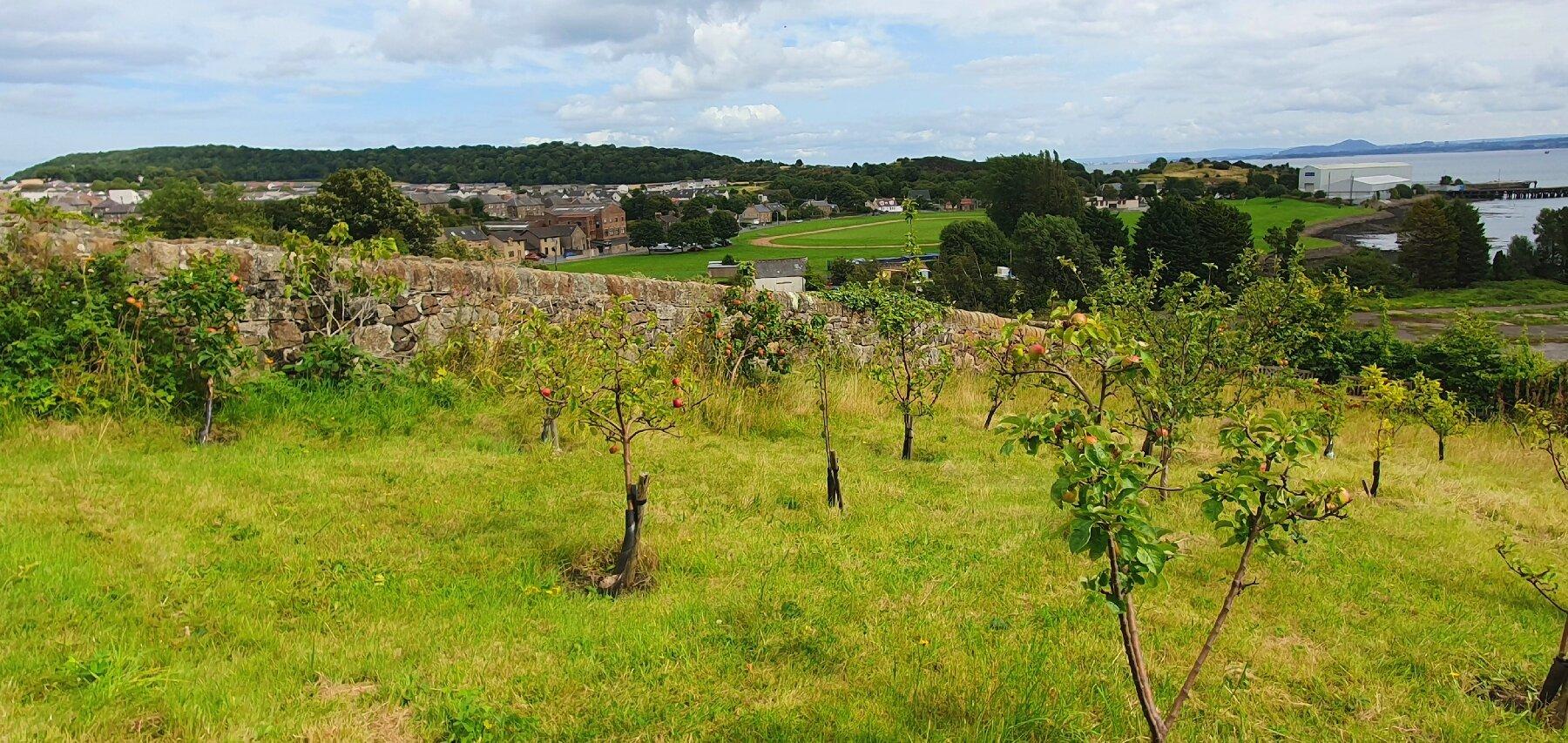 Inverkeithing Community Gardens