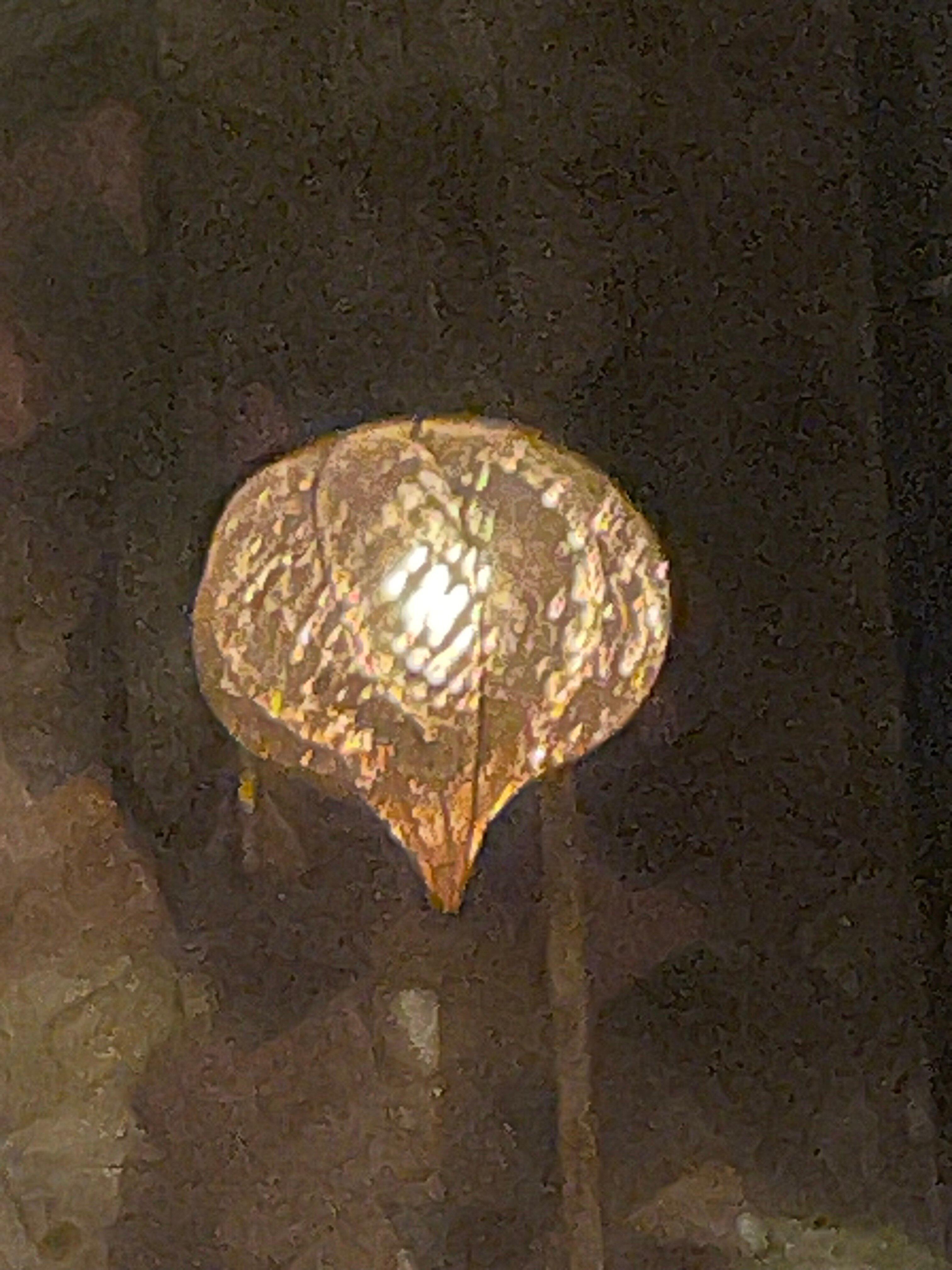 Photo by Christine S