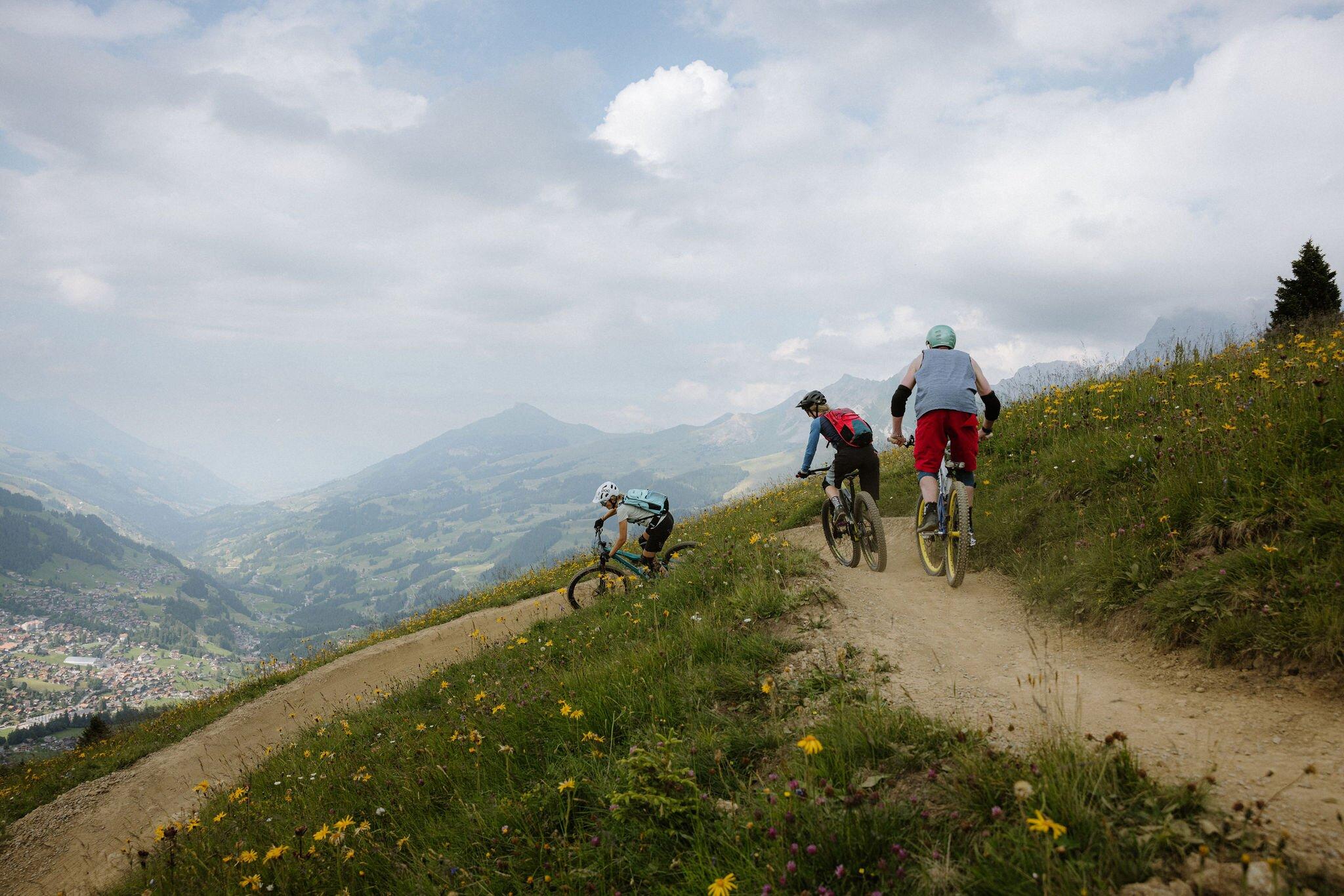Ski- and bike region Adelboden-Lenk