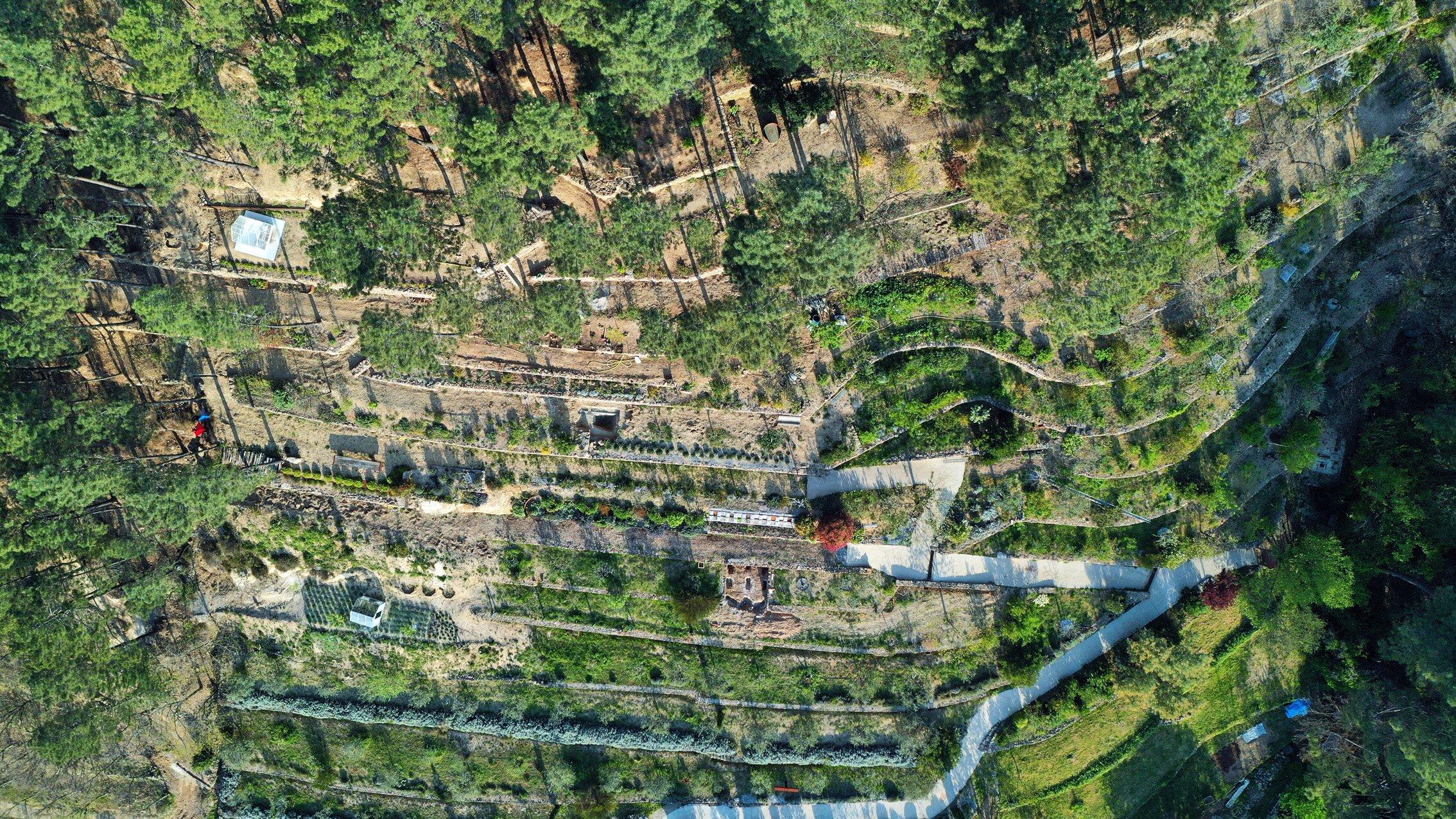 Le Jardin de Mercurart