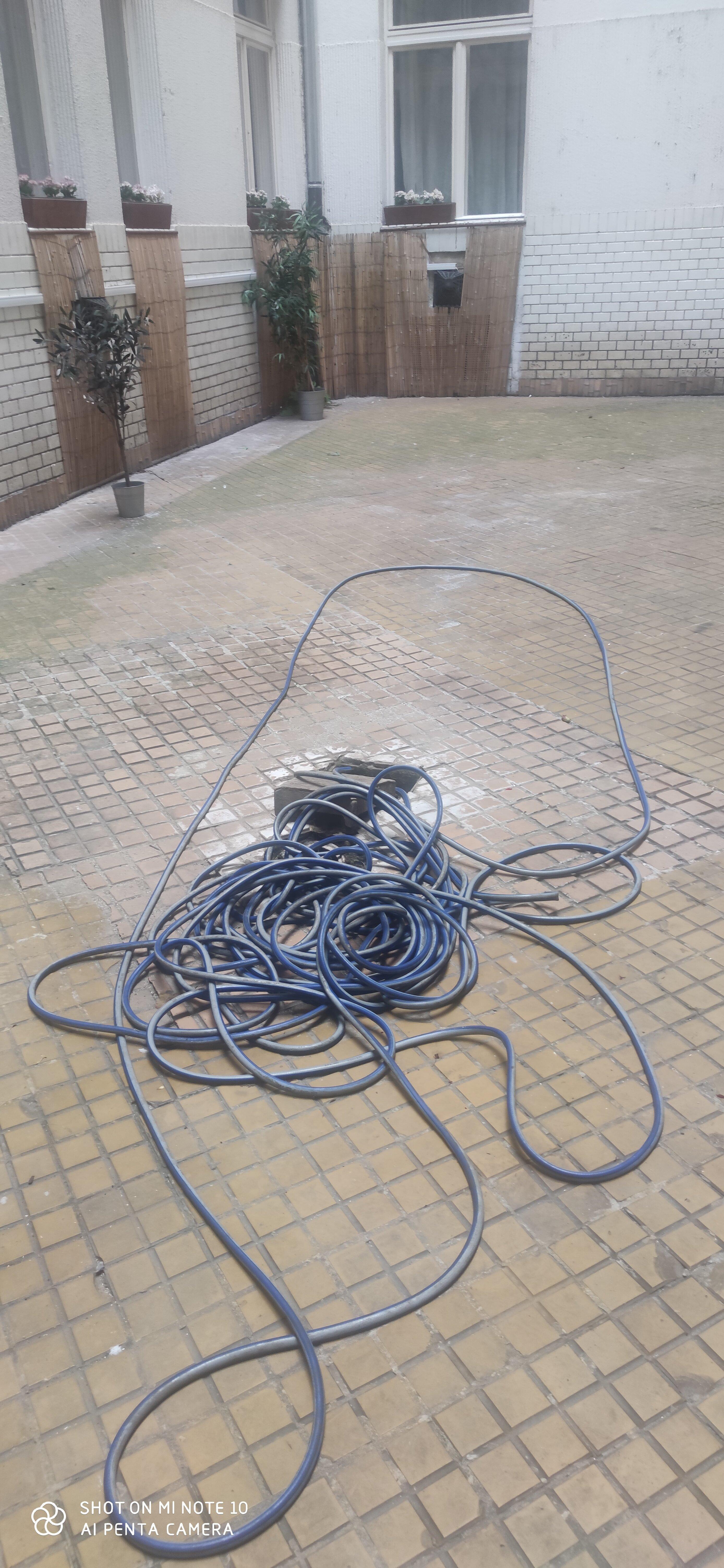 Photo by francescapK721SV