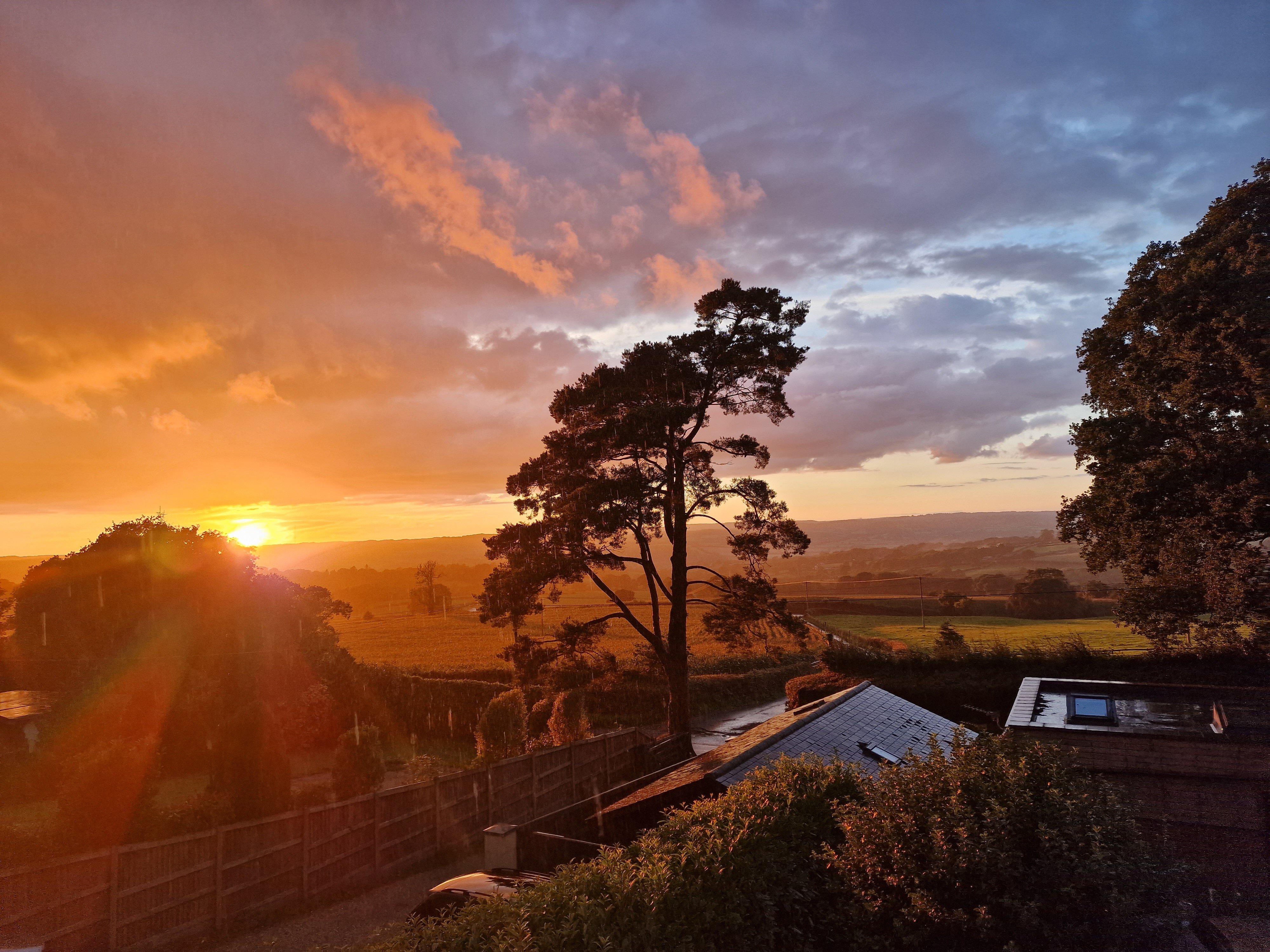 Netherleigh Bed and Breakfast