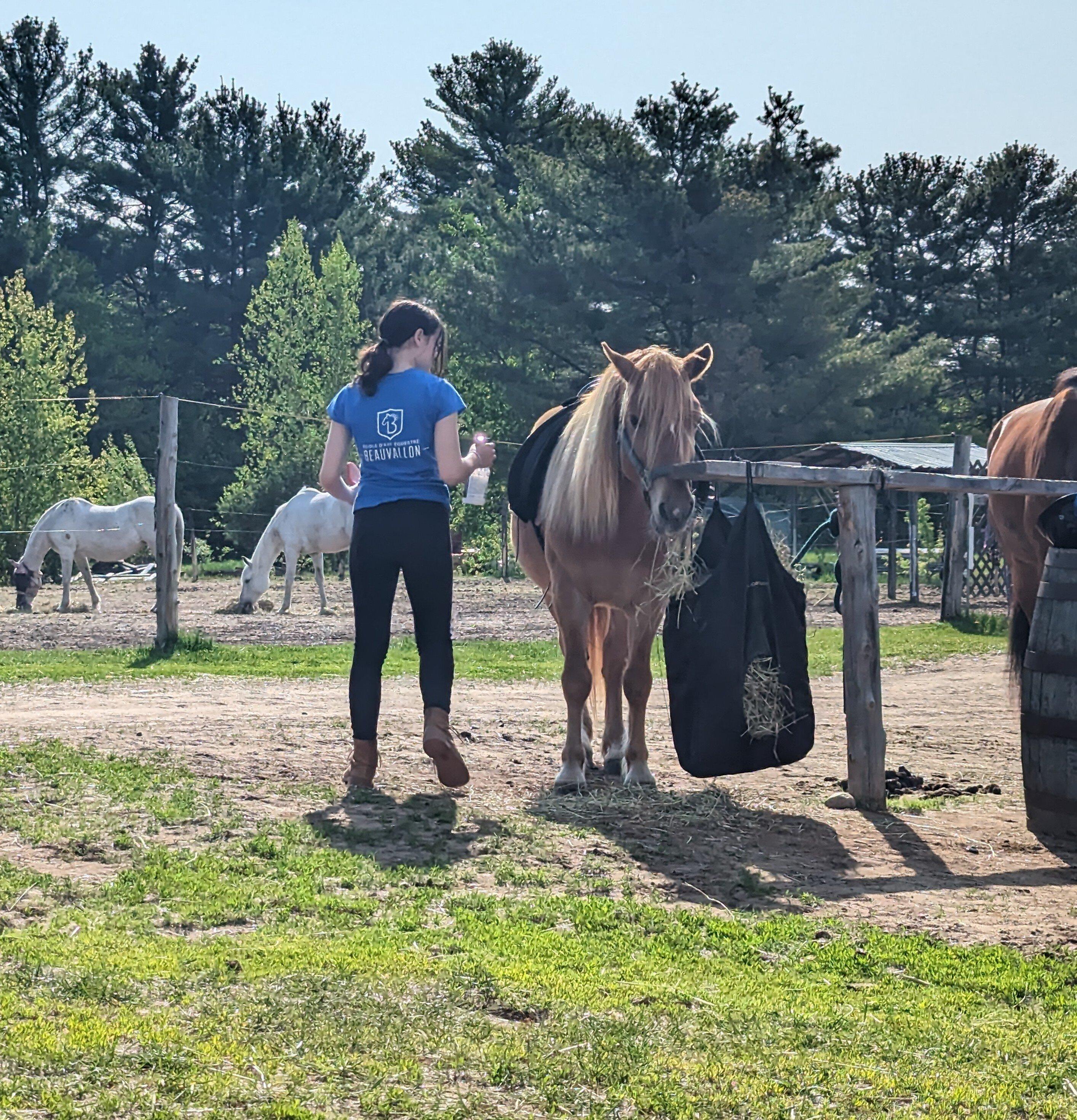 Stalls Beauvallon - Innocenti Spectacle Équestre