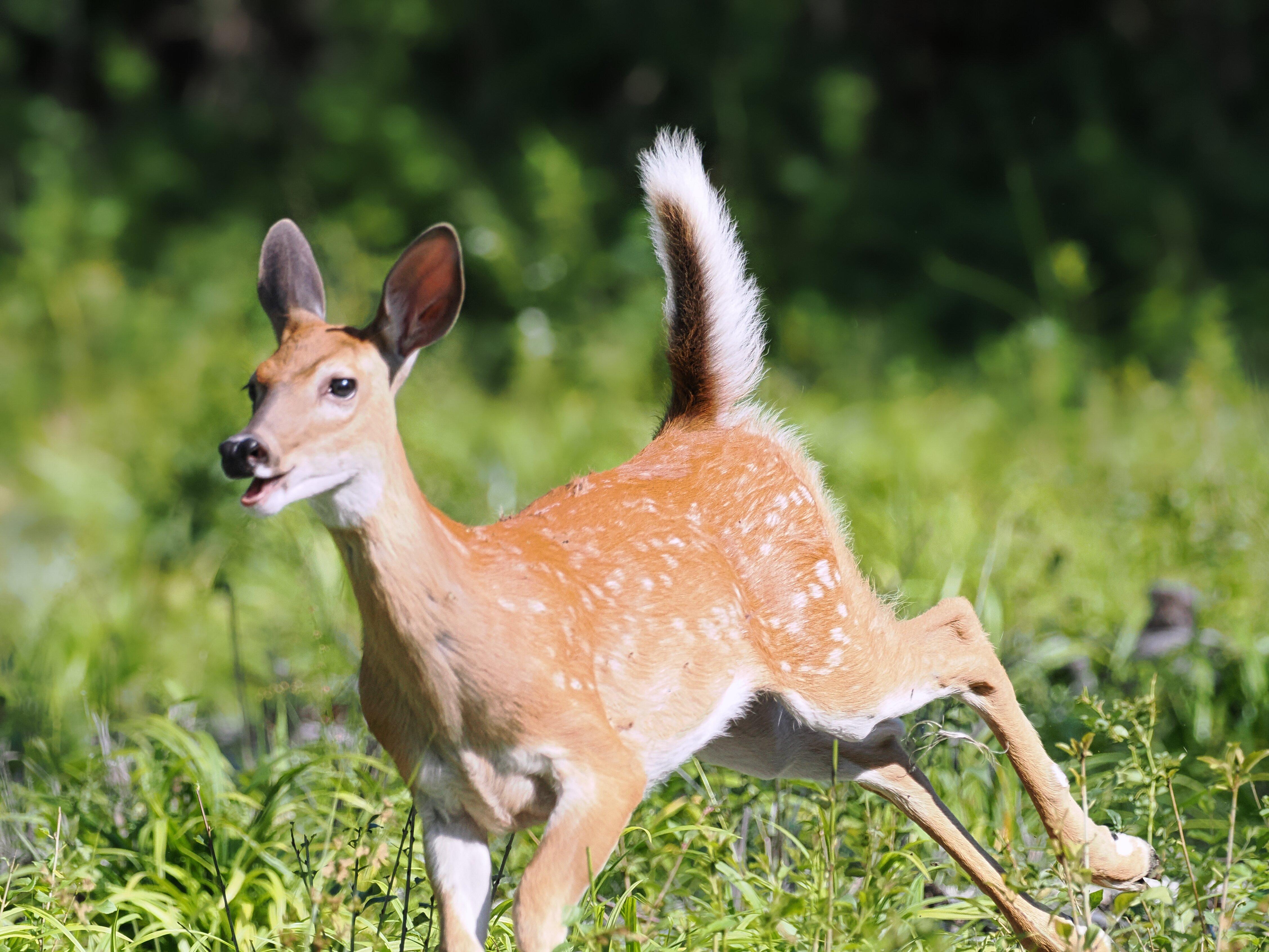 Photo by Connector62482937482