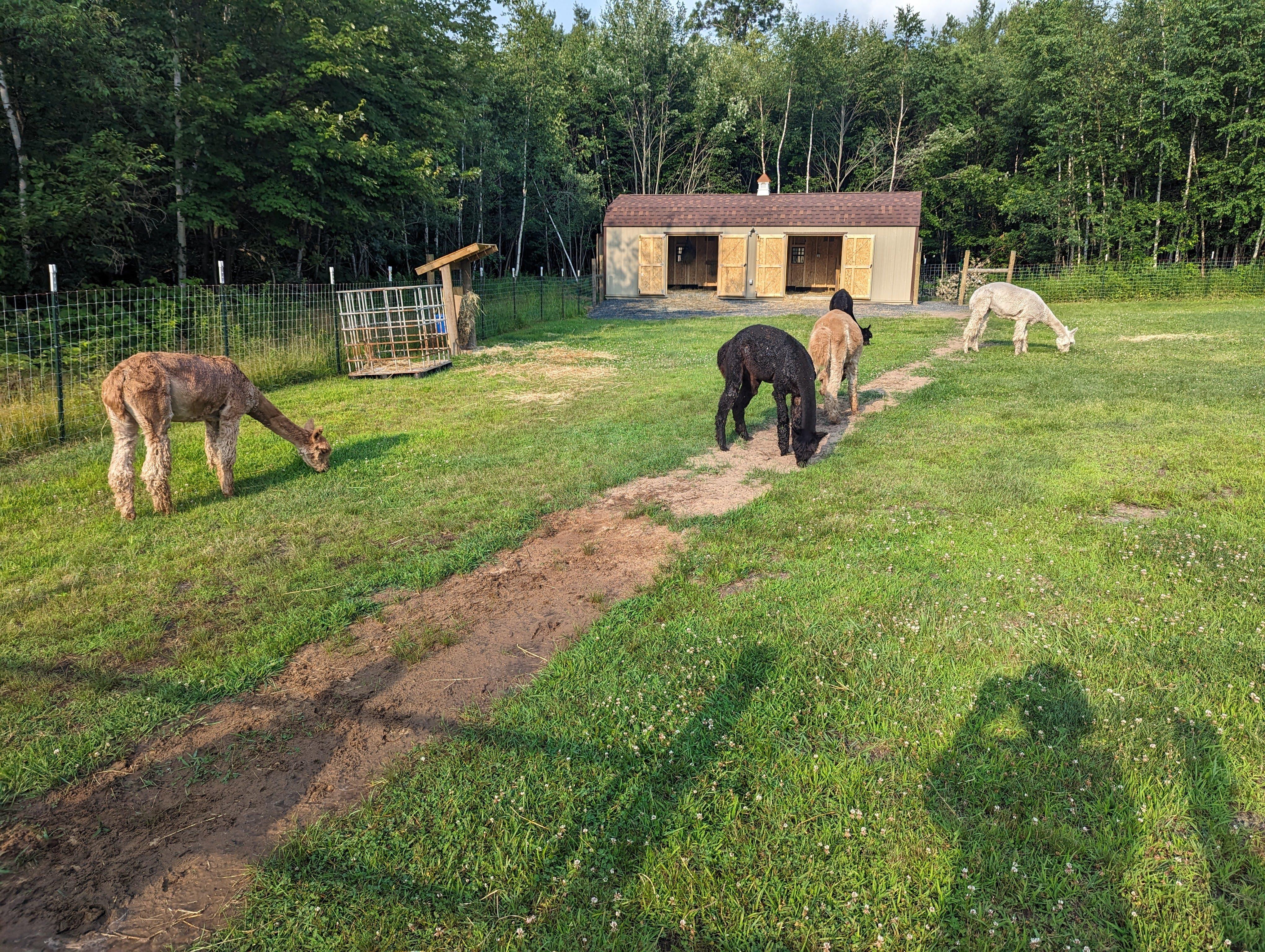 Hidden Timber Soul Sanctuary