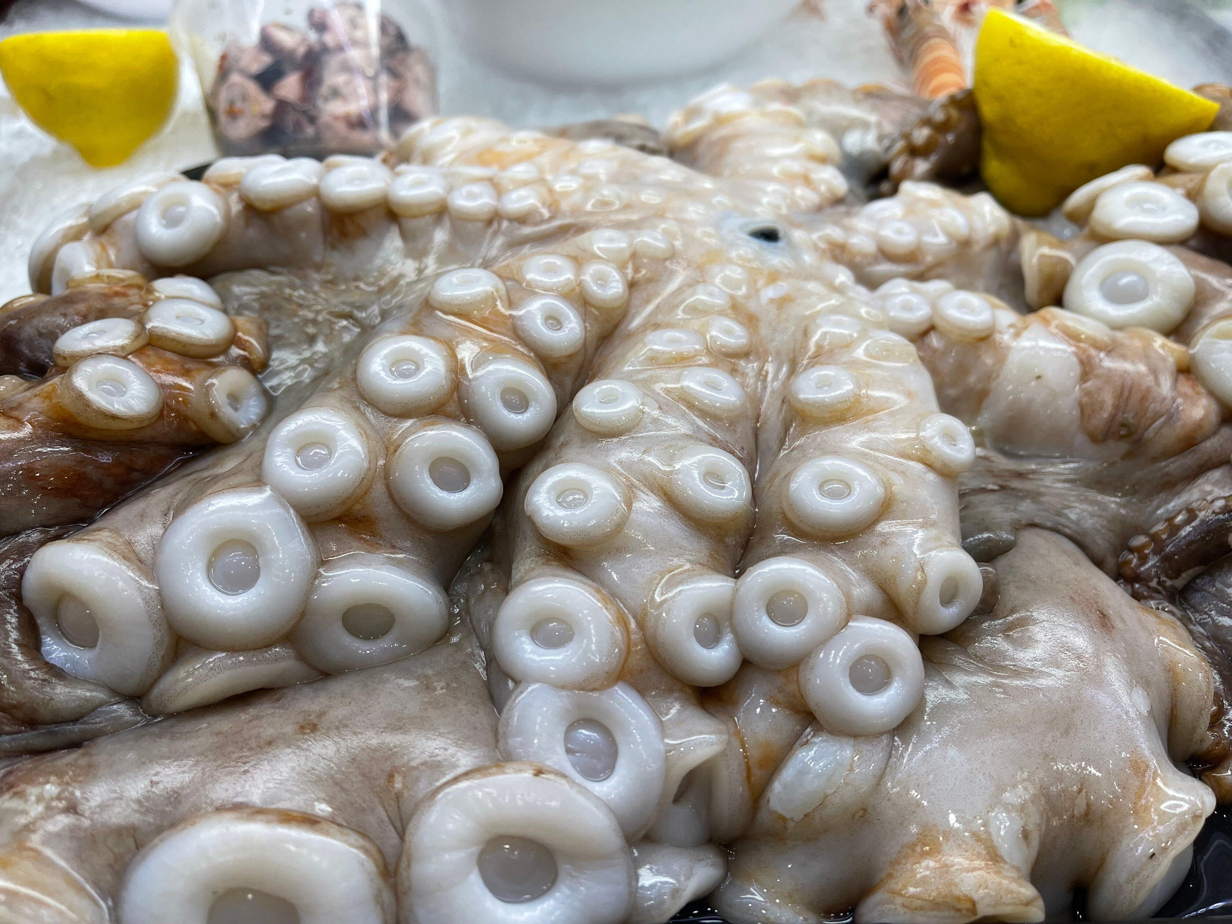 Photo by Fishmongerswife