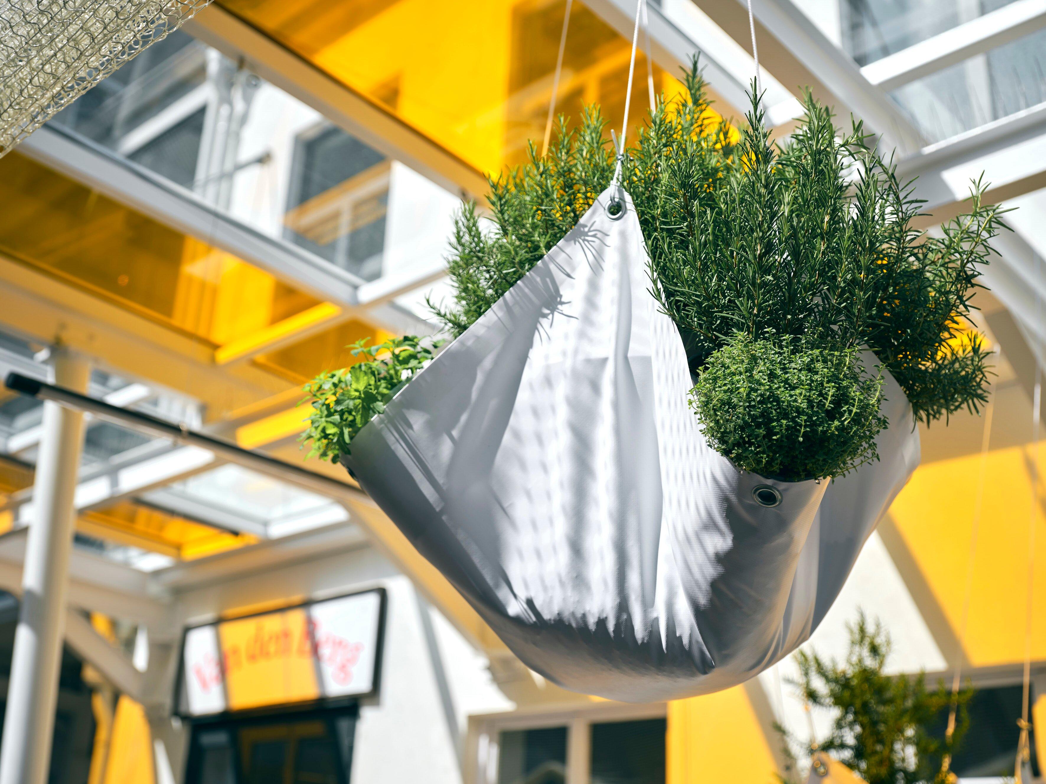 Van Den Berg Gewürze