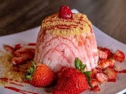 Vampire Penguin Bradenton