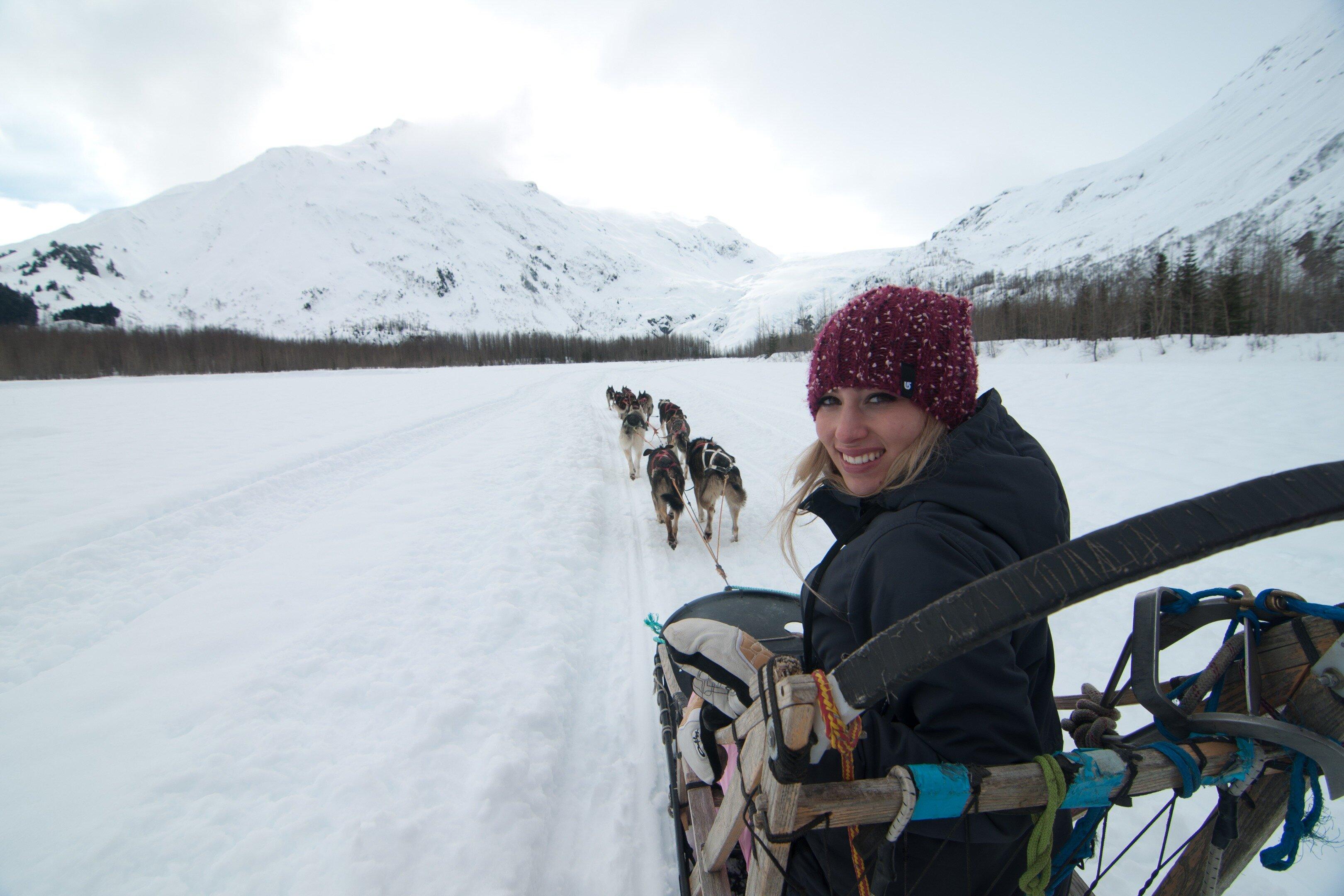 Winter Dog Sledding, Knik Alaska
