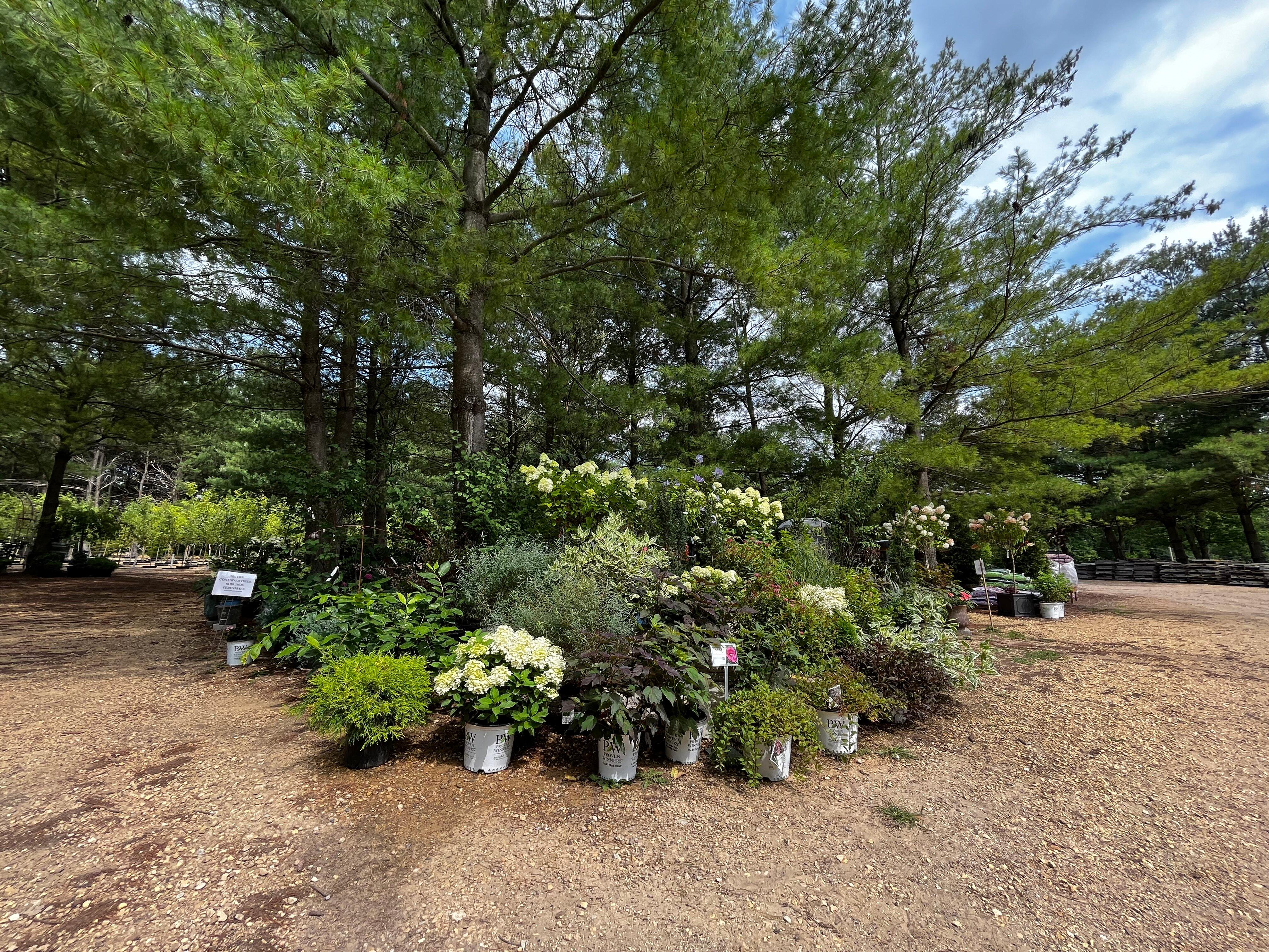 Hidden Timber Gardens