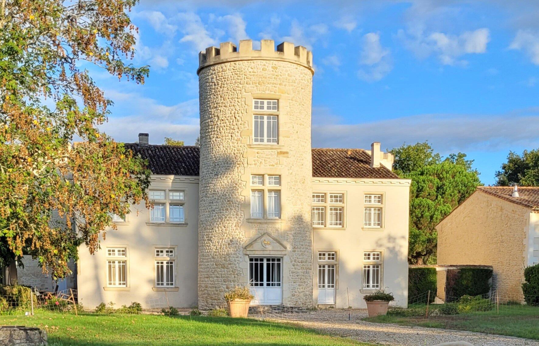Chateau Fontesteau Organic Vineyard