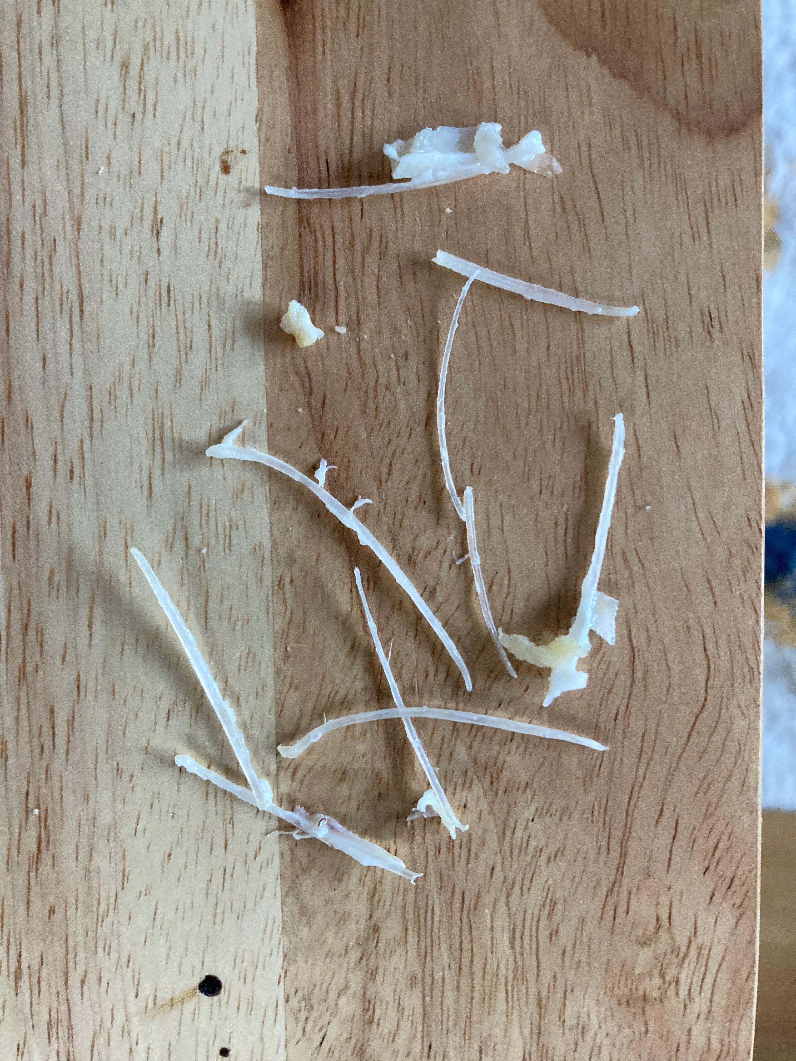 Photo by spudipswich