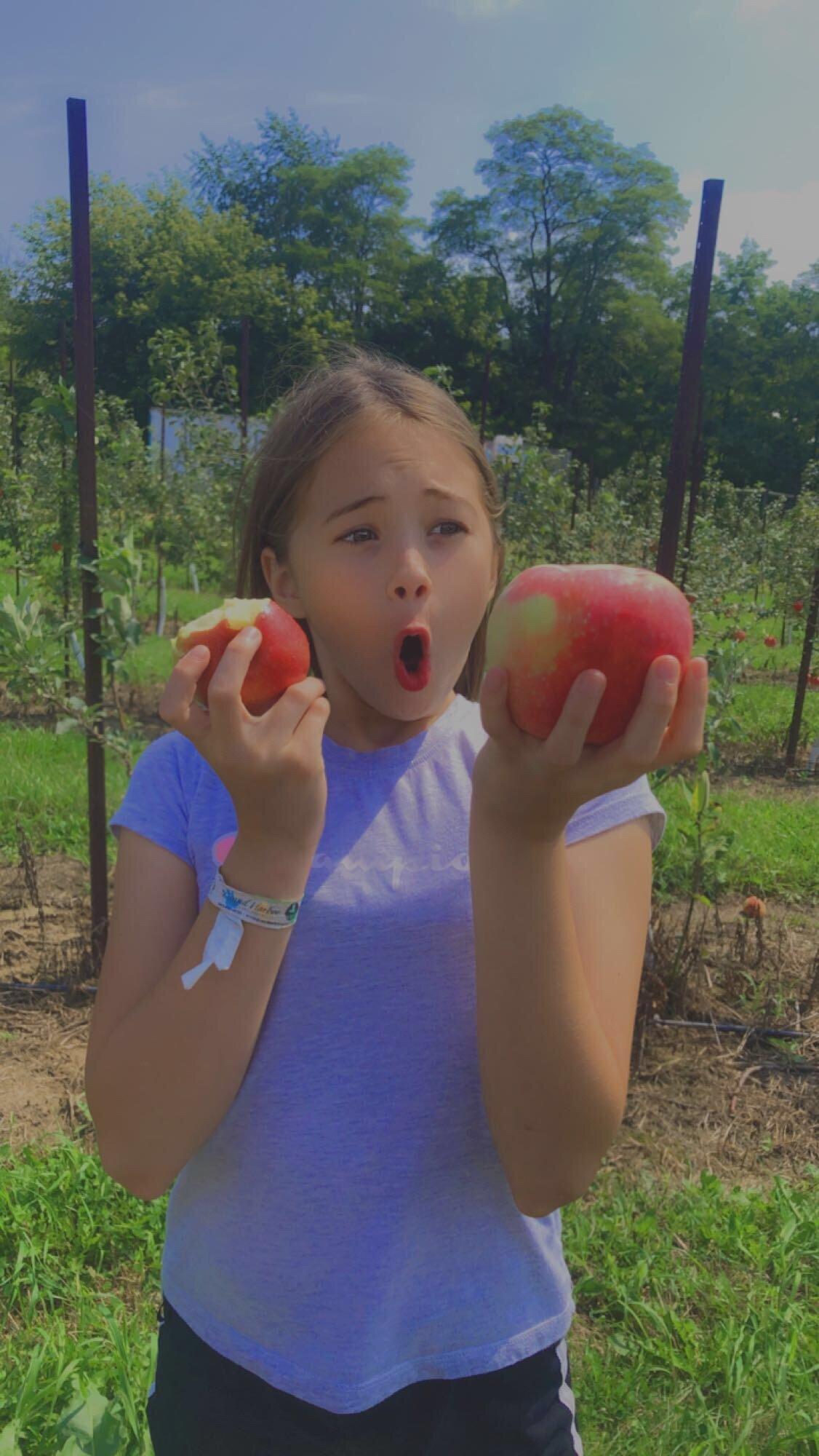 Terrapin Orchards