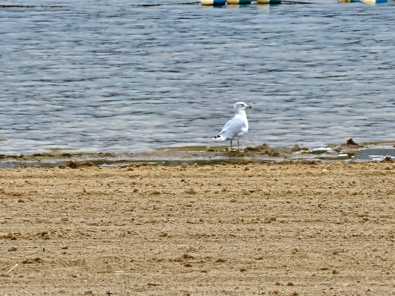 Groveland Oaks County Park