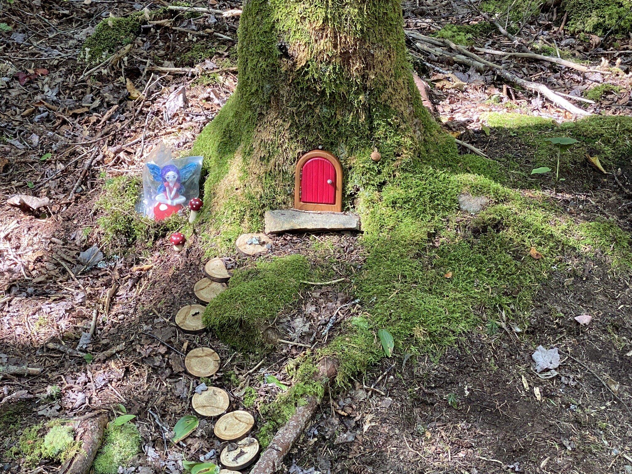 Van Tassel Lake Trails