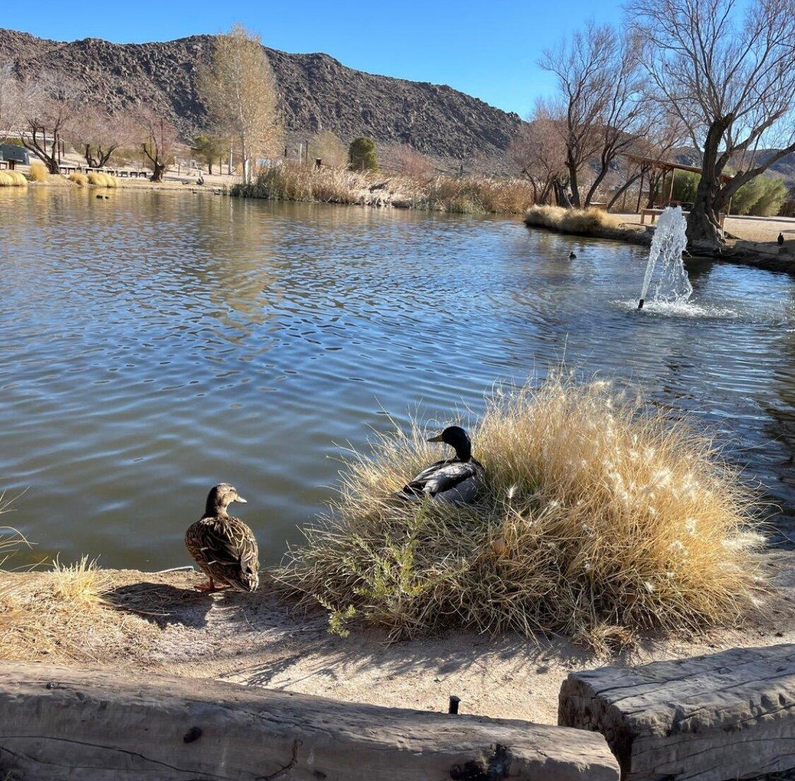 Photo by 855audrianad