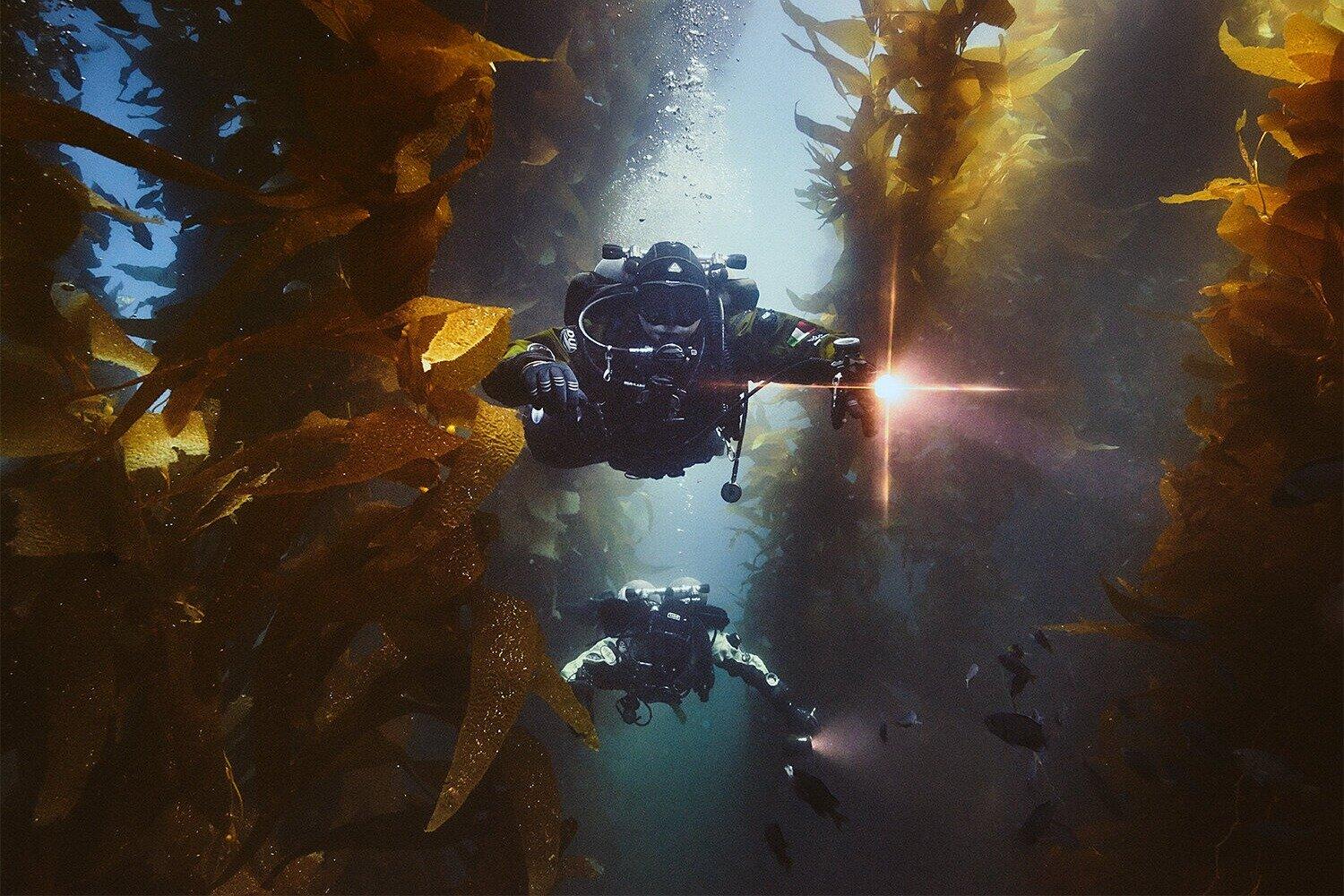 Dive Channel Islands