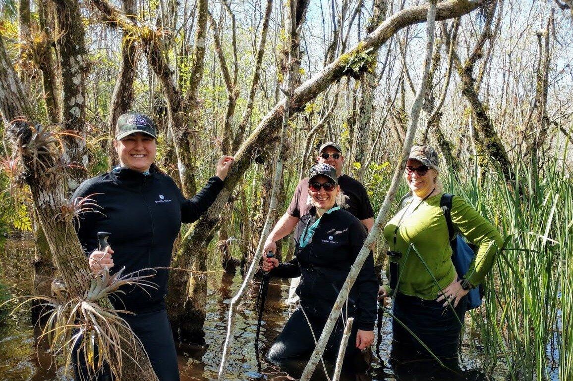 Wild Lime Adventures