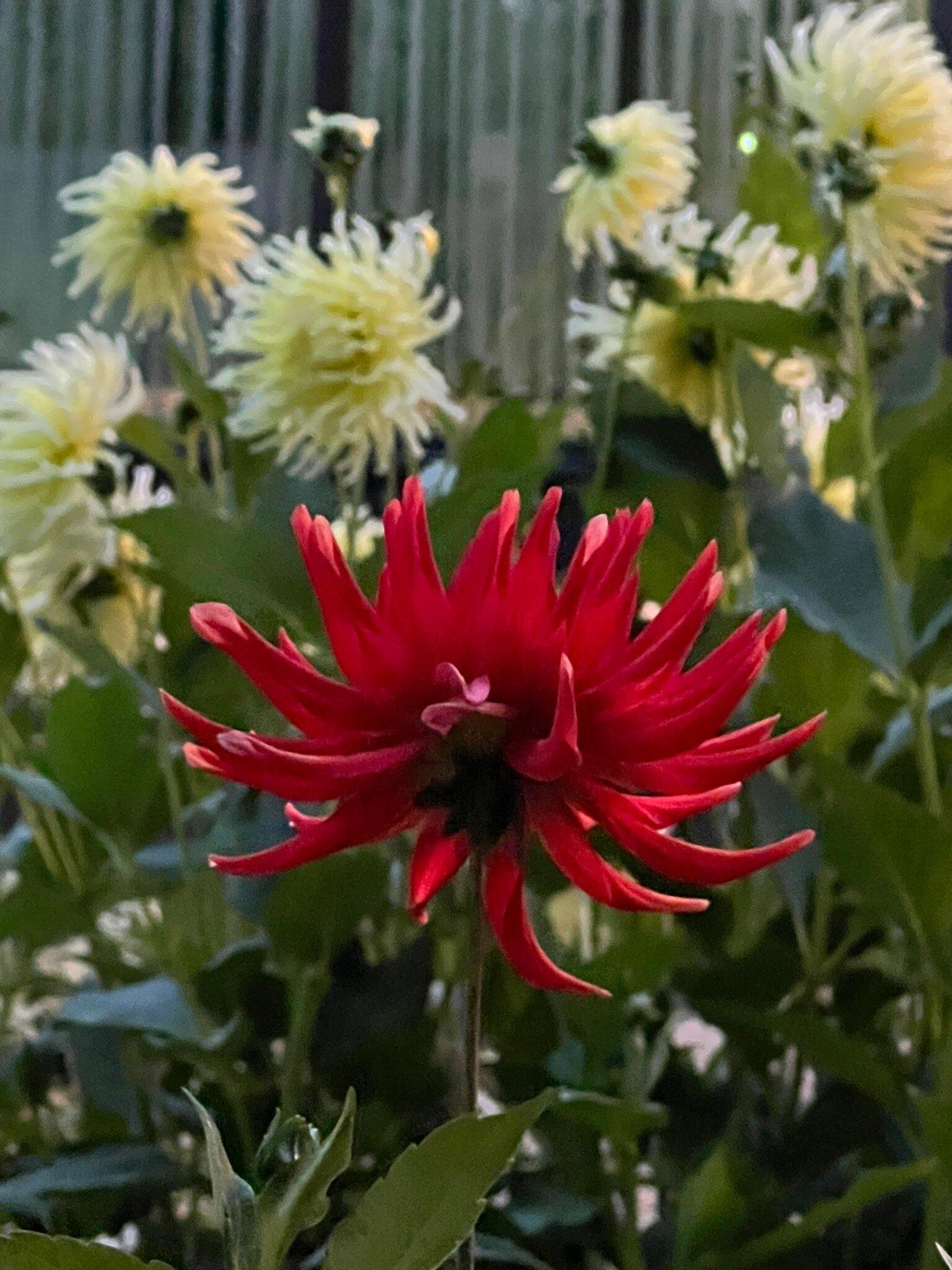 Hotel Kurhaus Bad Bocklet