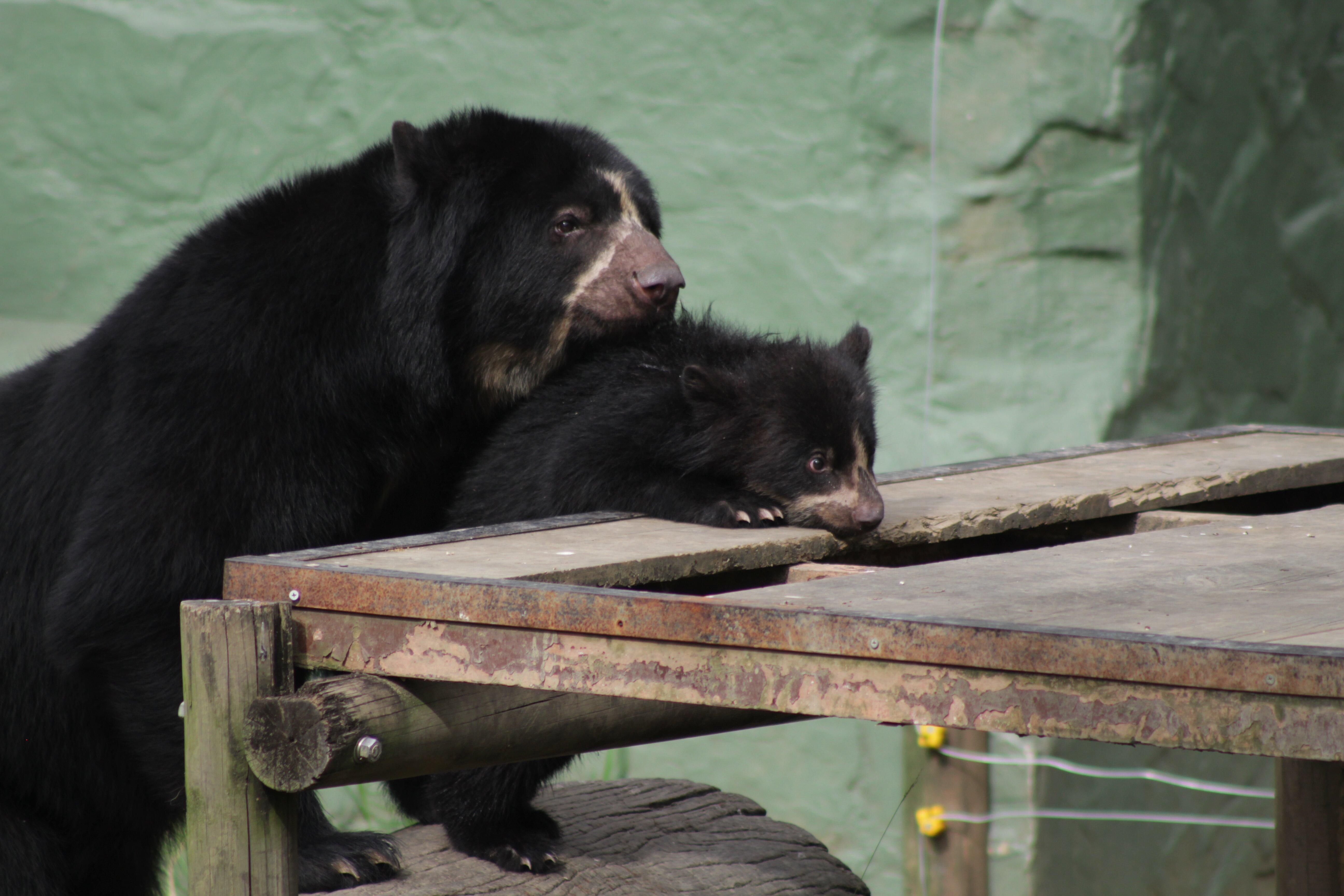Parque de la Conservación