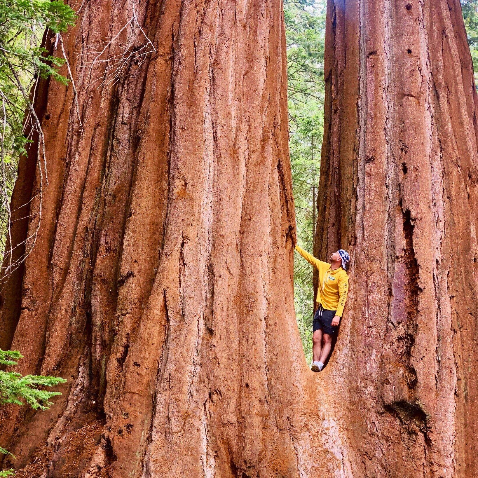 Mountain Trekking Adventures