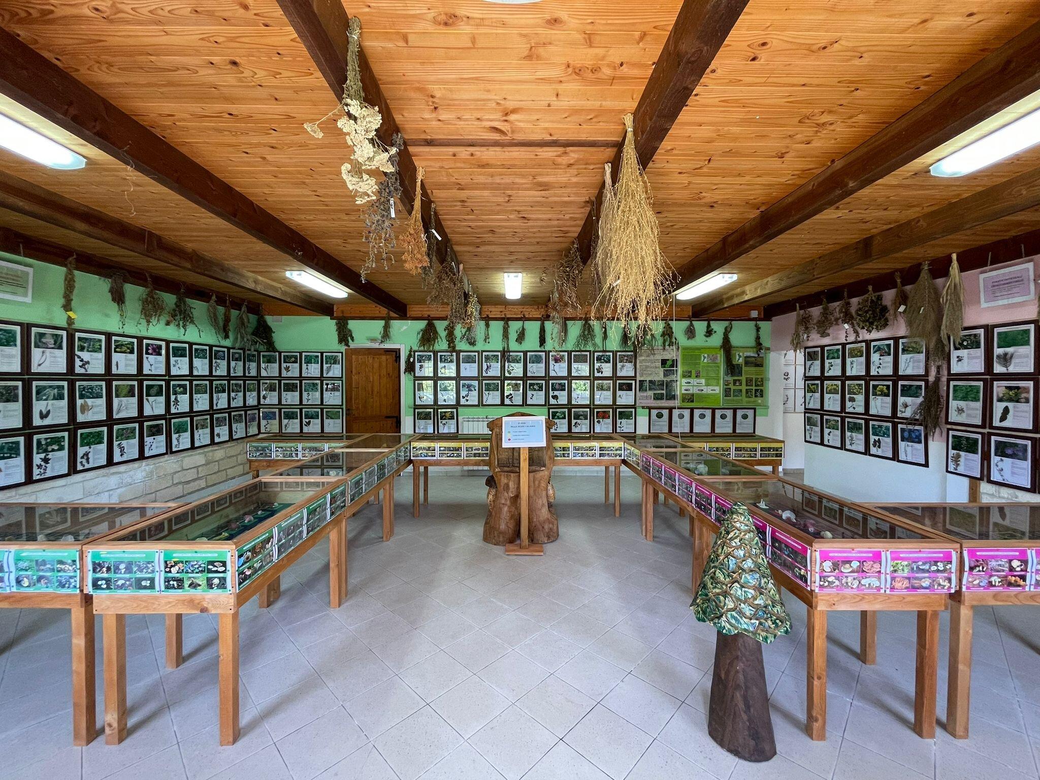 Museo Orto Botanico Villa Bonitas