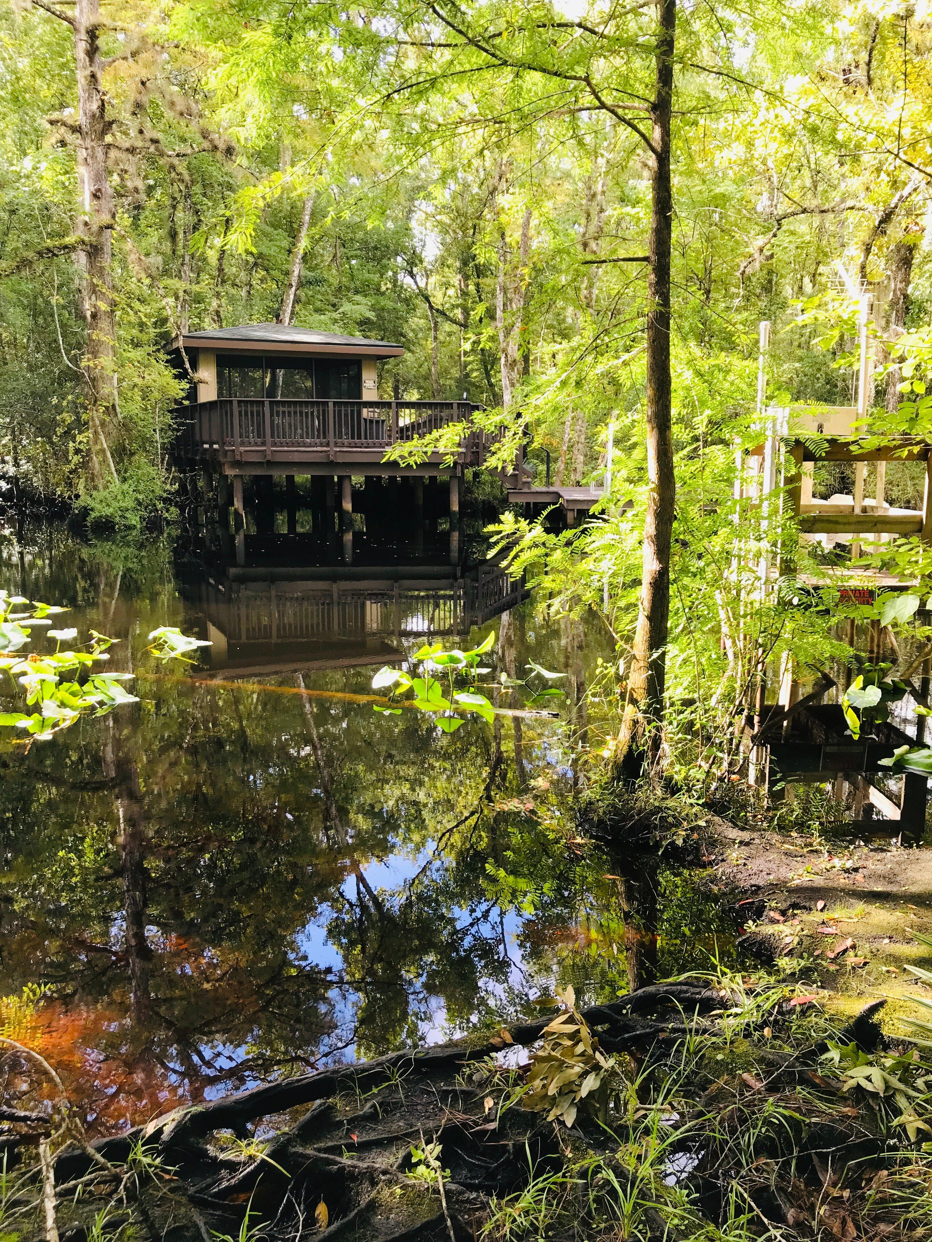 Julington-Durbin Preserve