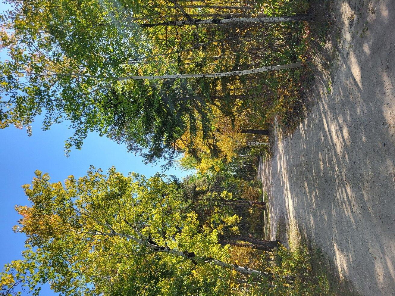 Nipawin & District Regional Park