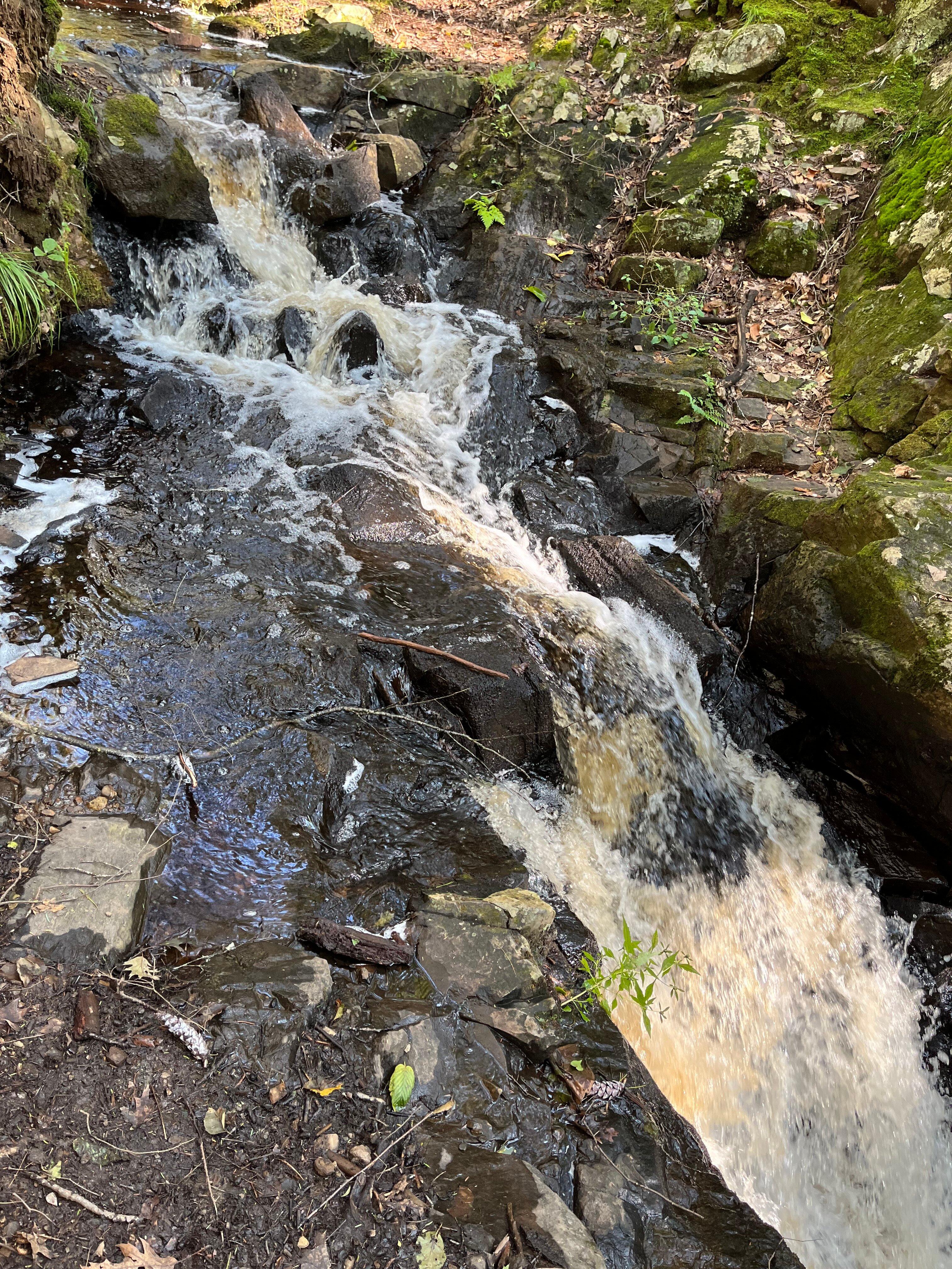 Orris Falls Conservation Area