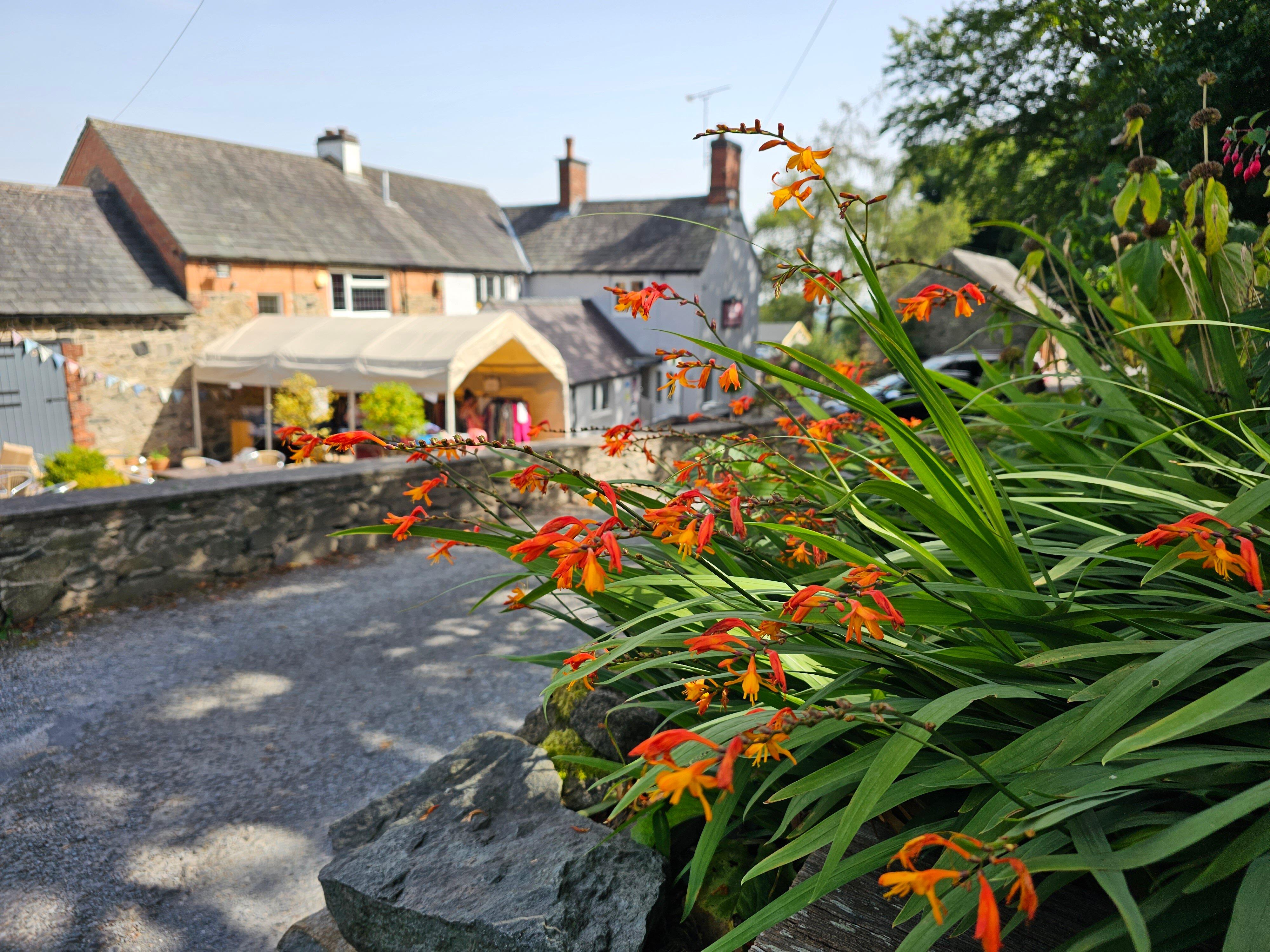 Ulverscroft Grange Tearoom