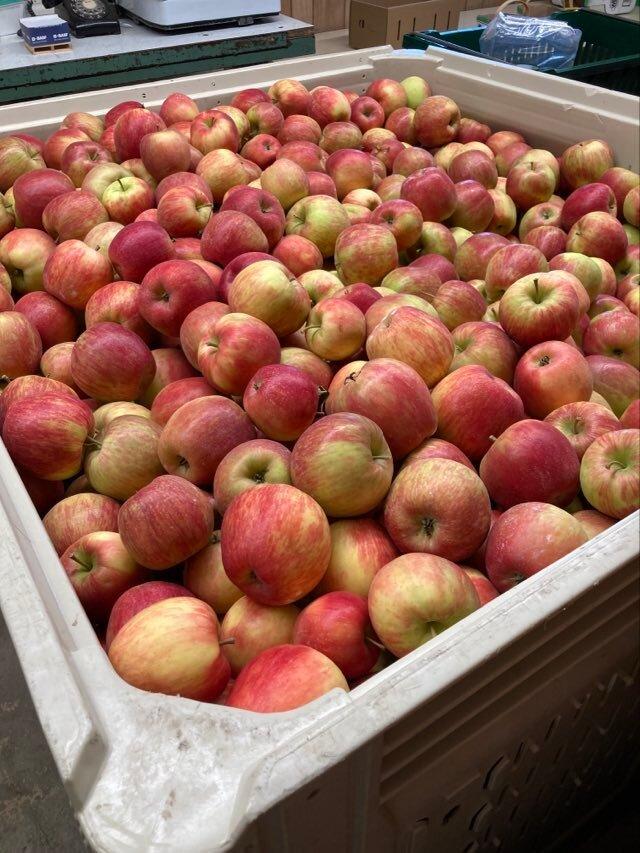 Thompson's Orchards
