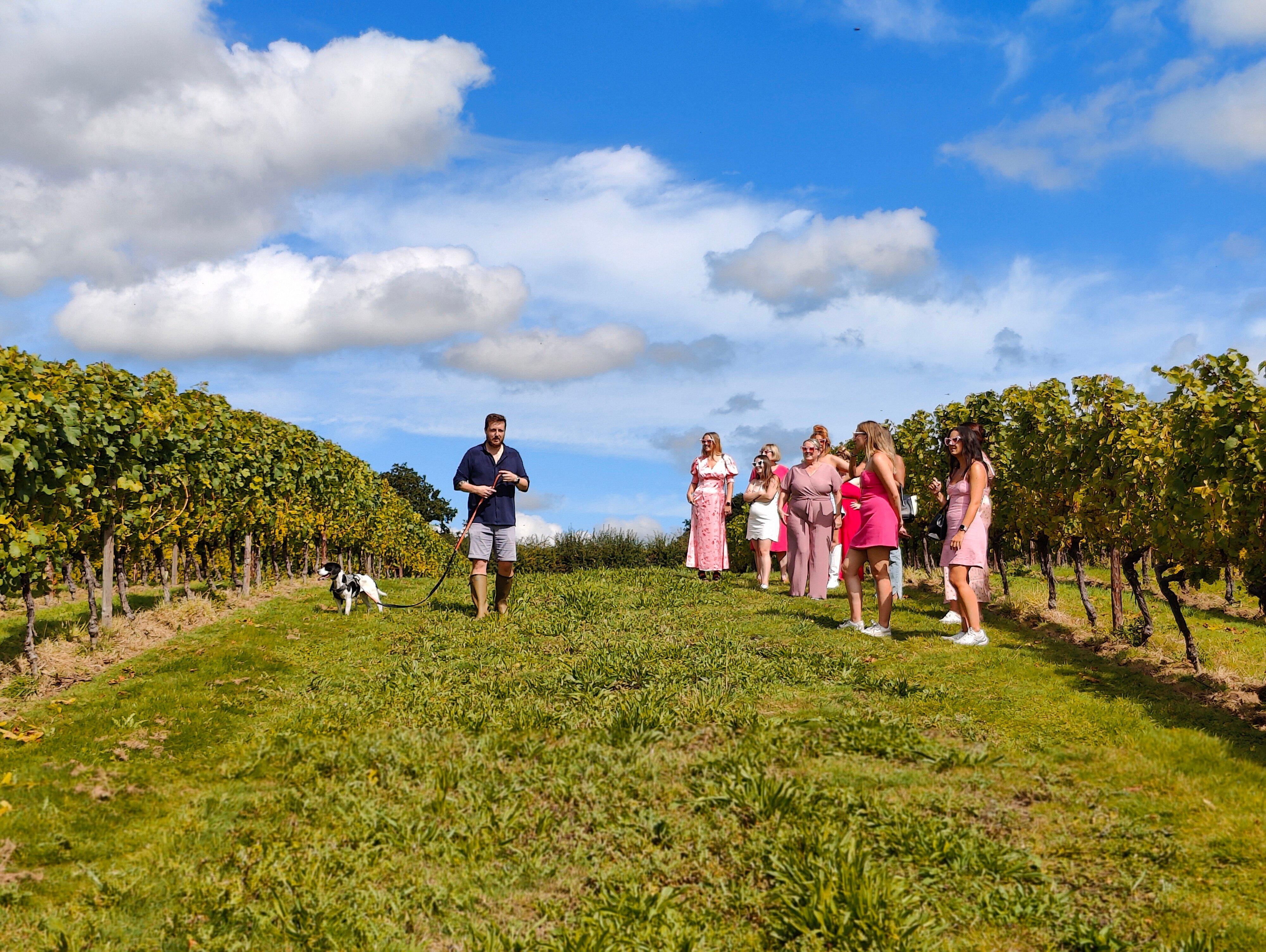 Vine + Country Wine and Food Tours