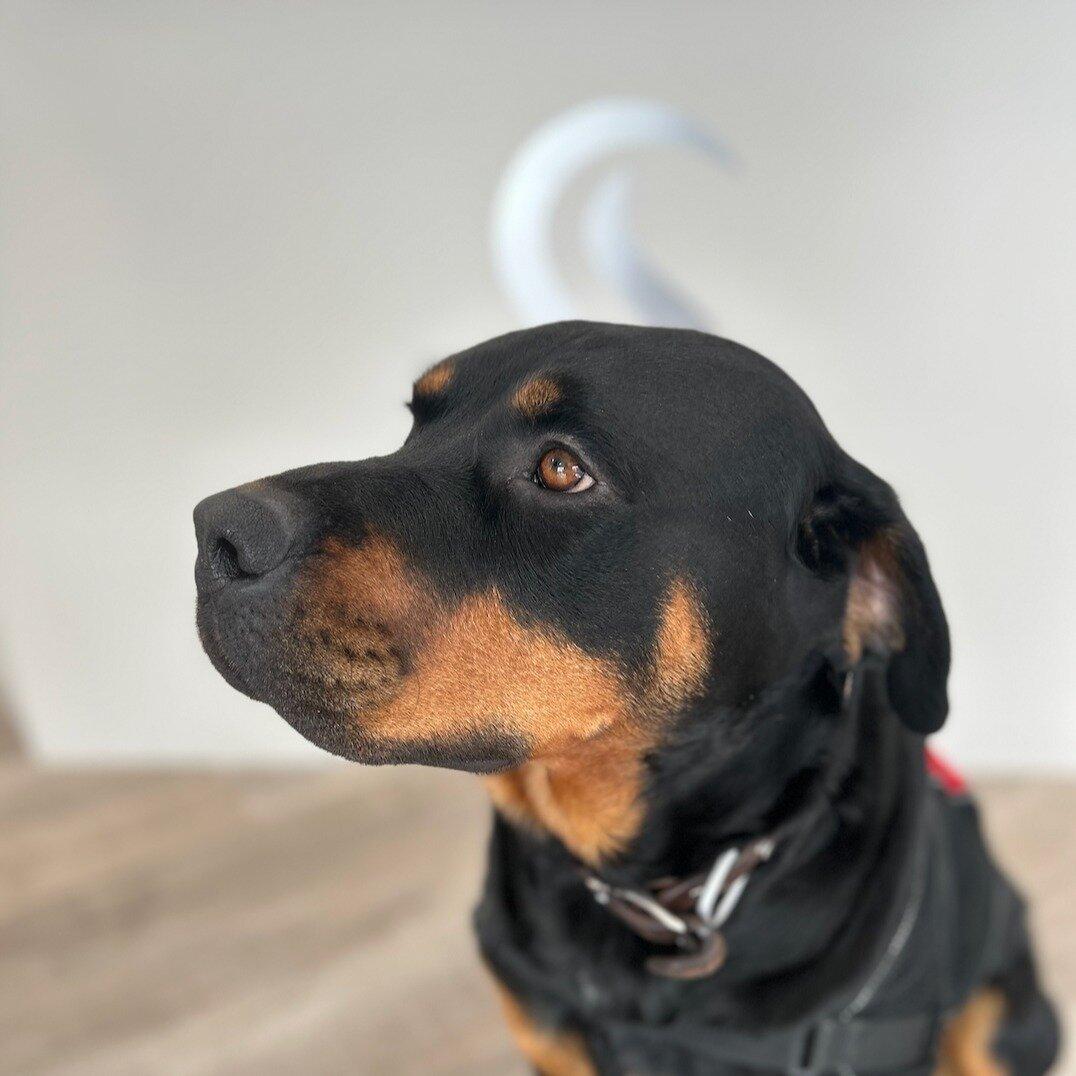 Shmukler Jewelry Design