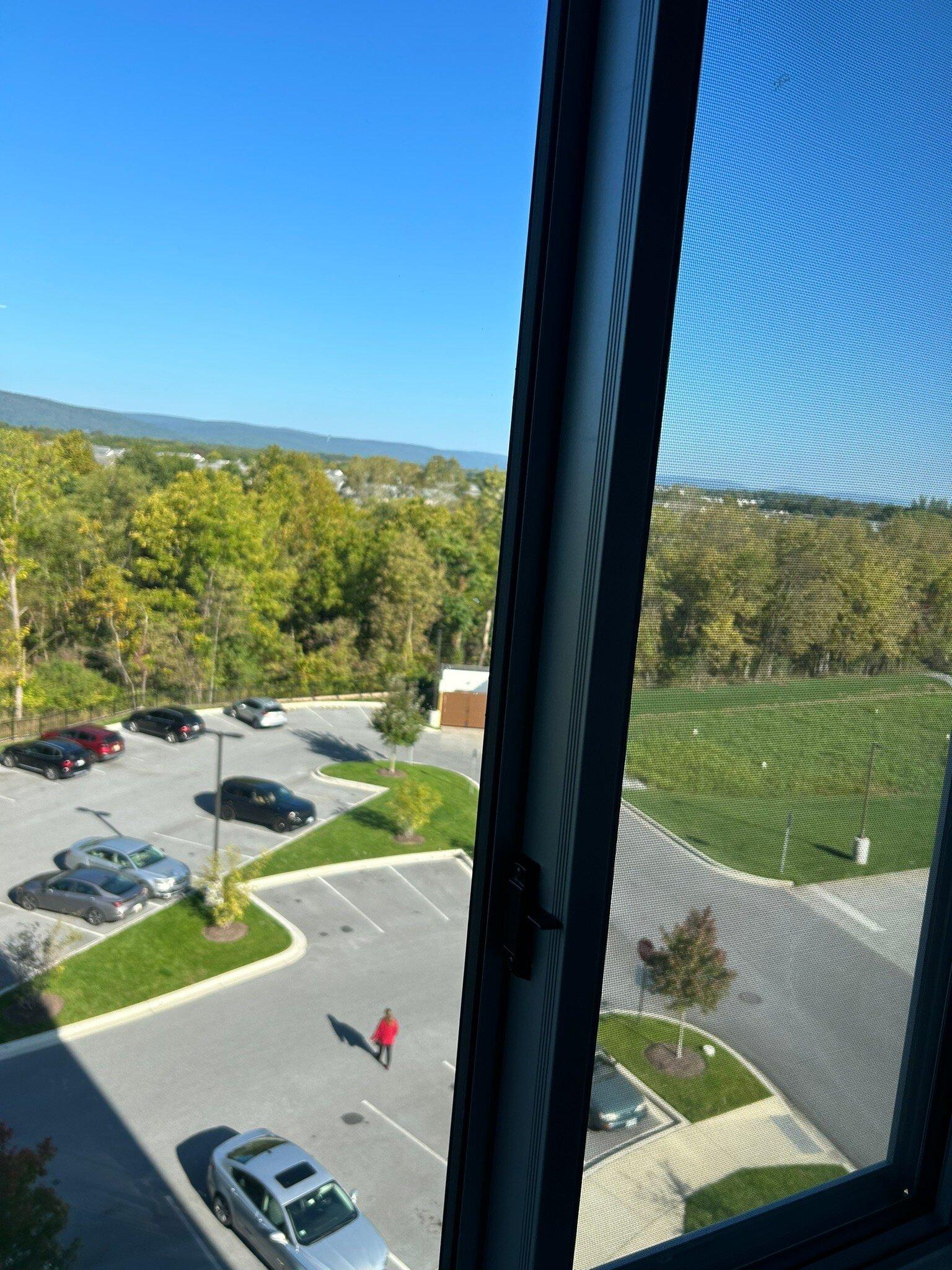 Photo by Lesleytysons