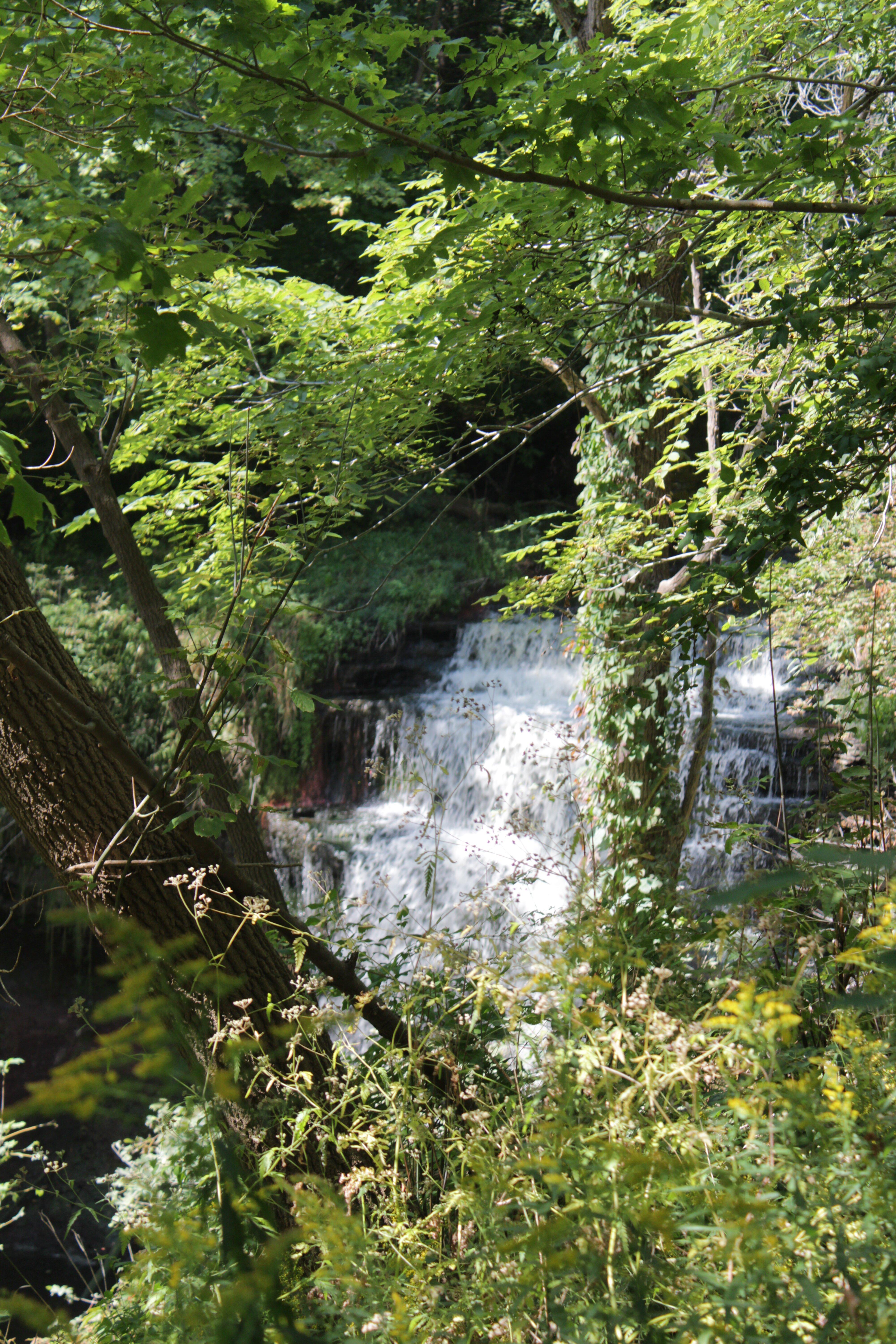 Smokey Hollow Waterfall