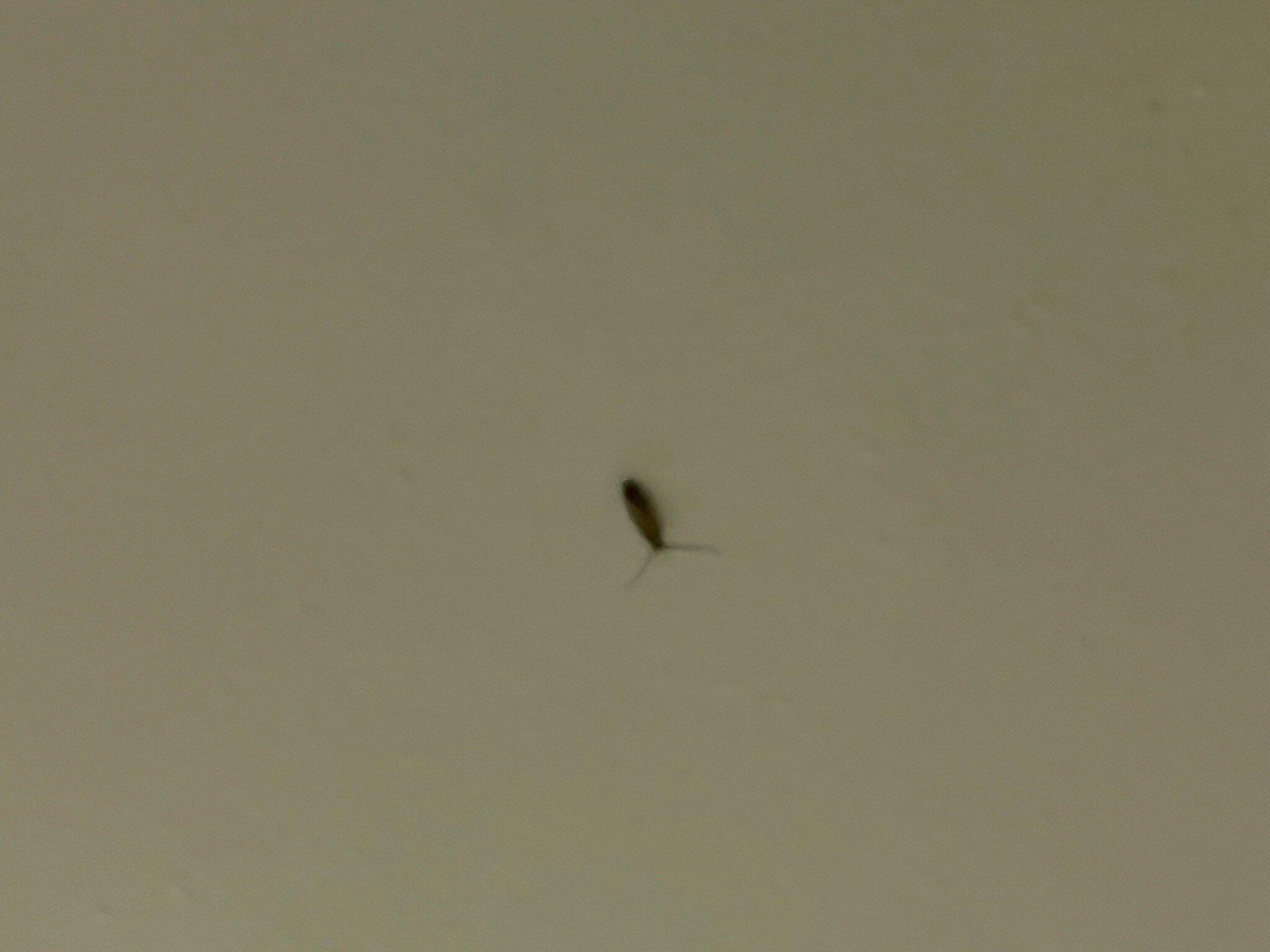 Photo by Navigator321701