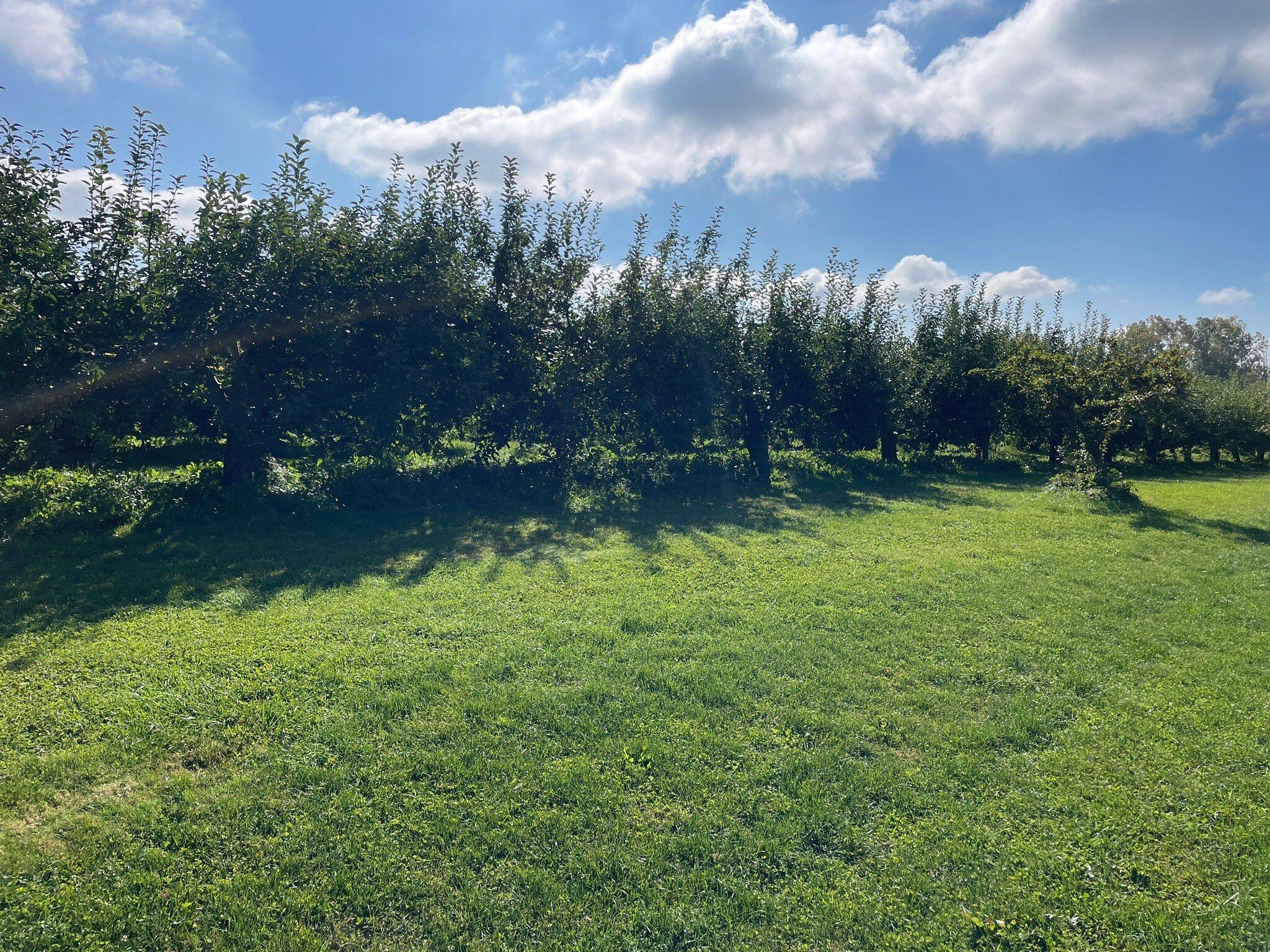 Smith's Orchard Cider Mill