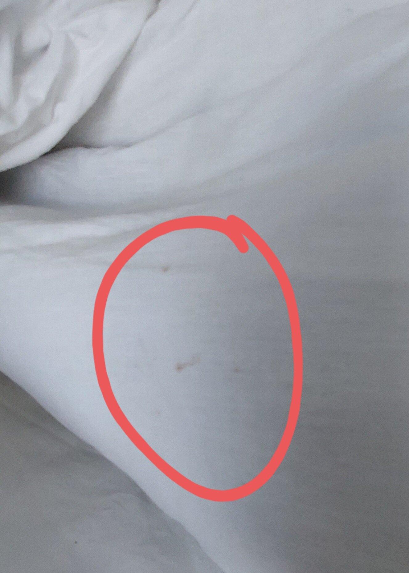 Elsham Gardens Rooms