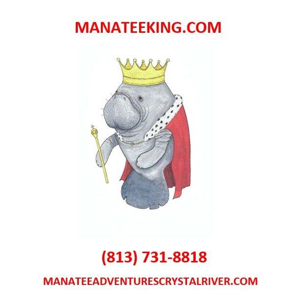 Manatee Adventures Crystal River Florida
