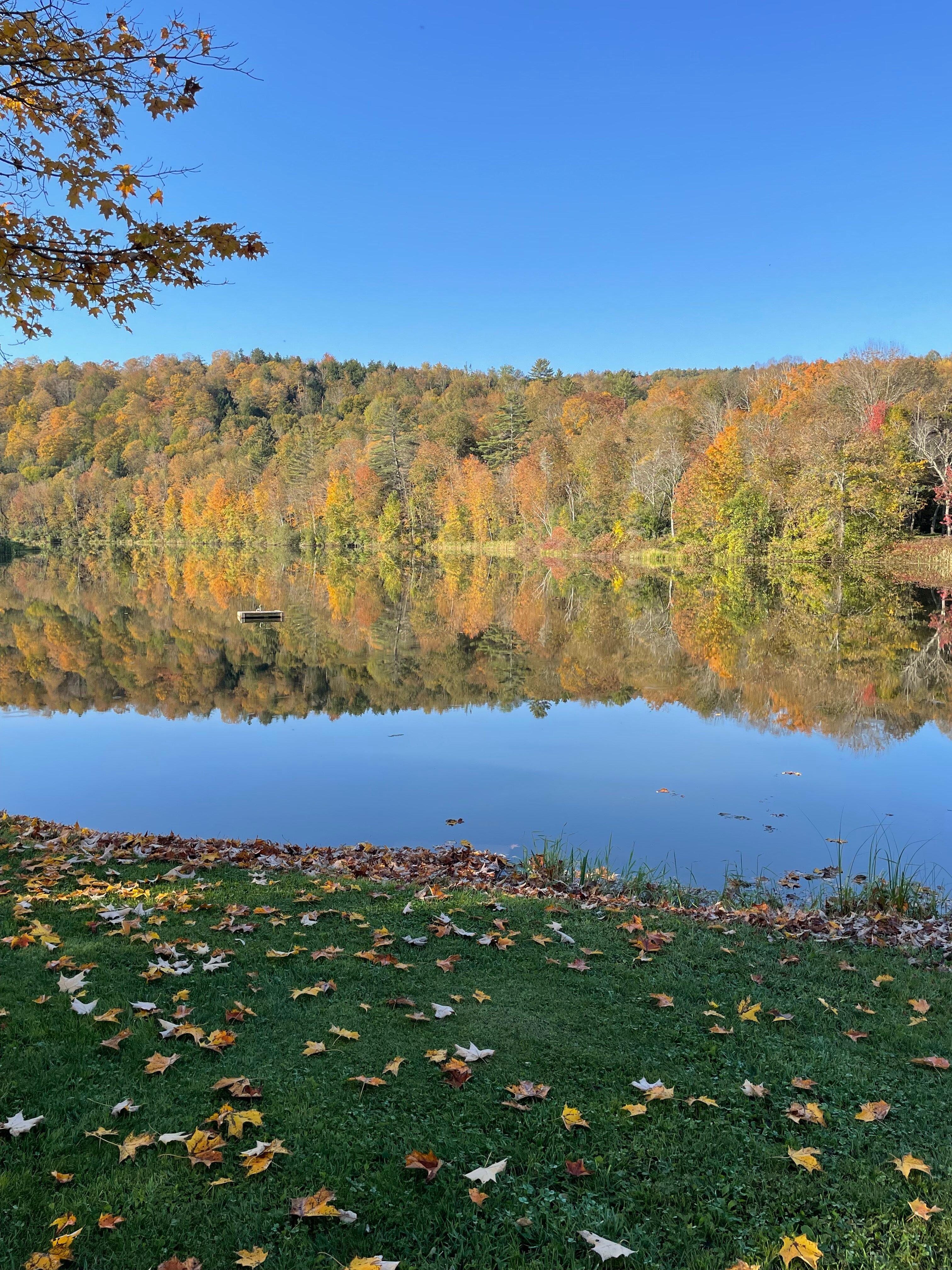 Photo by annedX4347DF