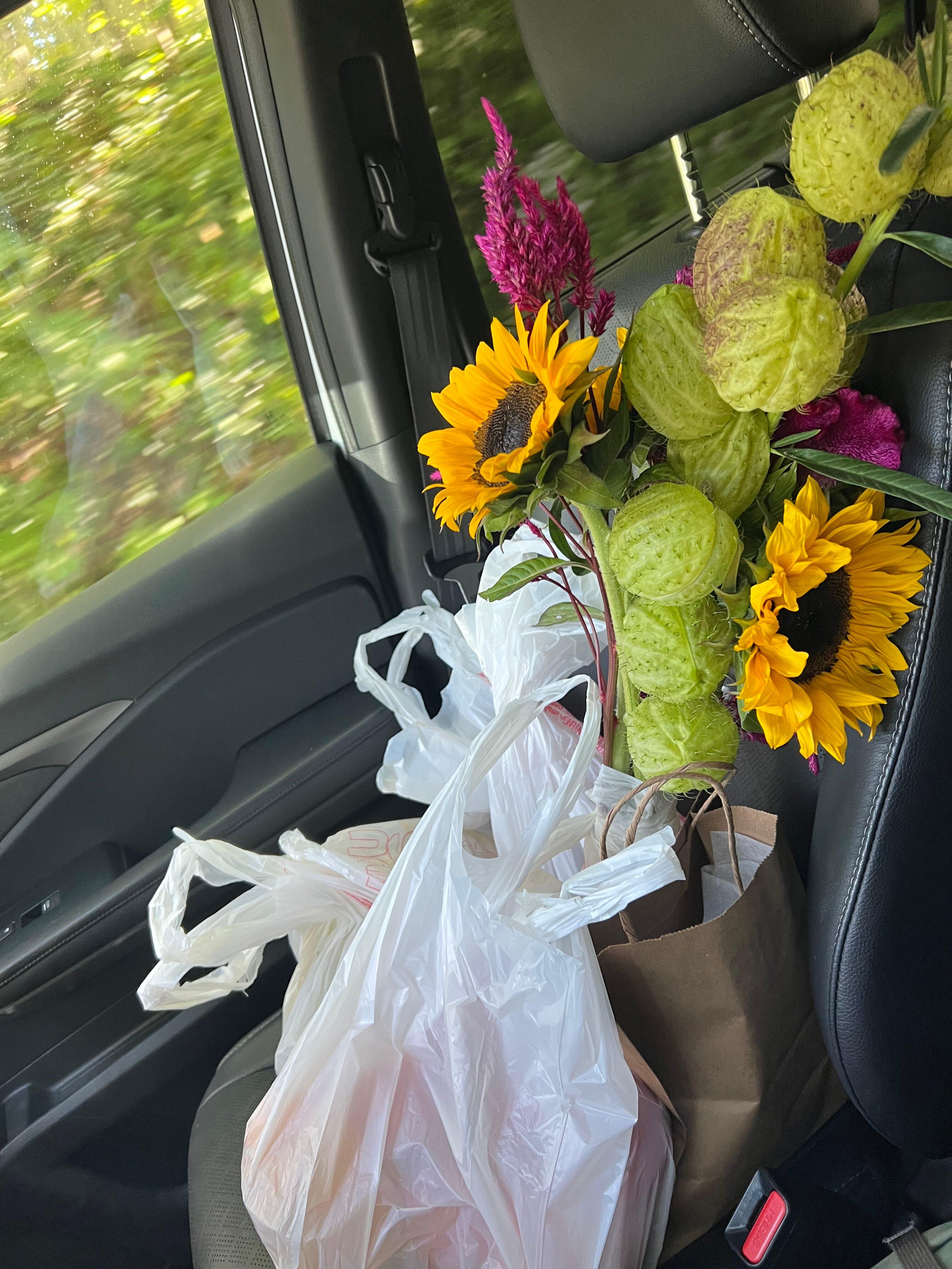 Photo by flying-for-fun