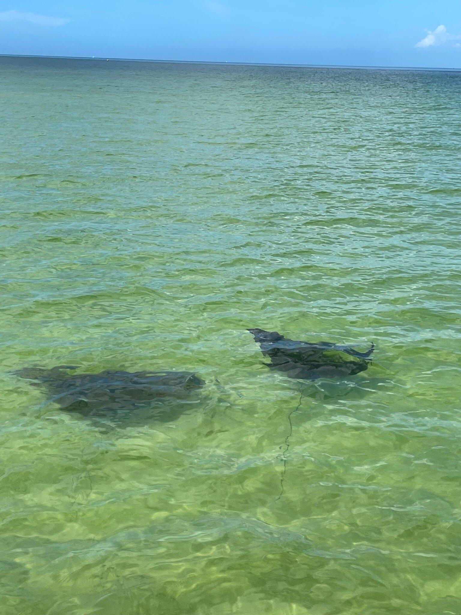 Fun Boat Anna Maria Island