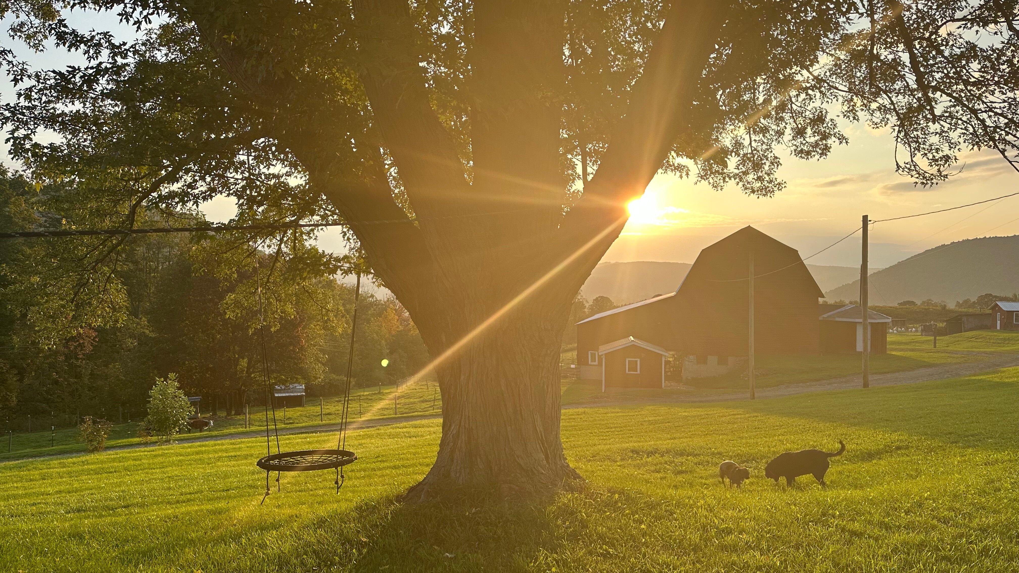 ZiegenVine Homestead