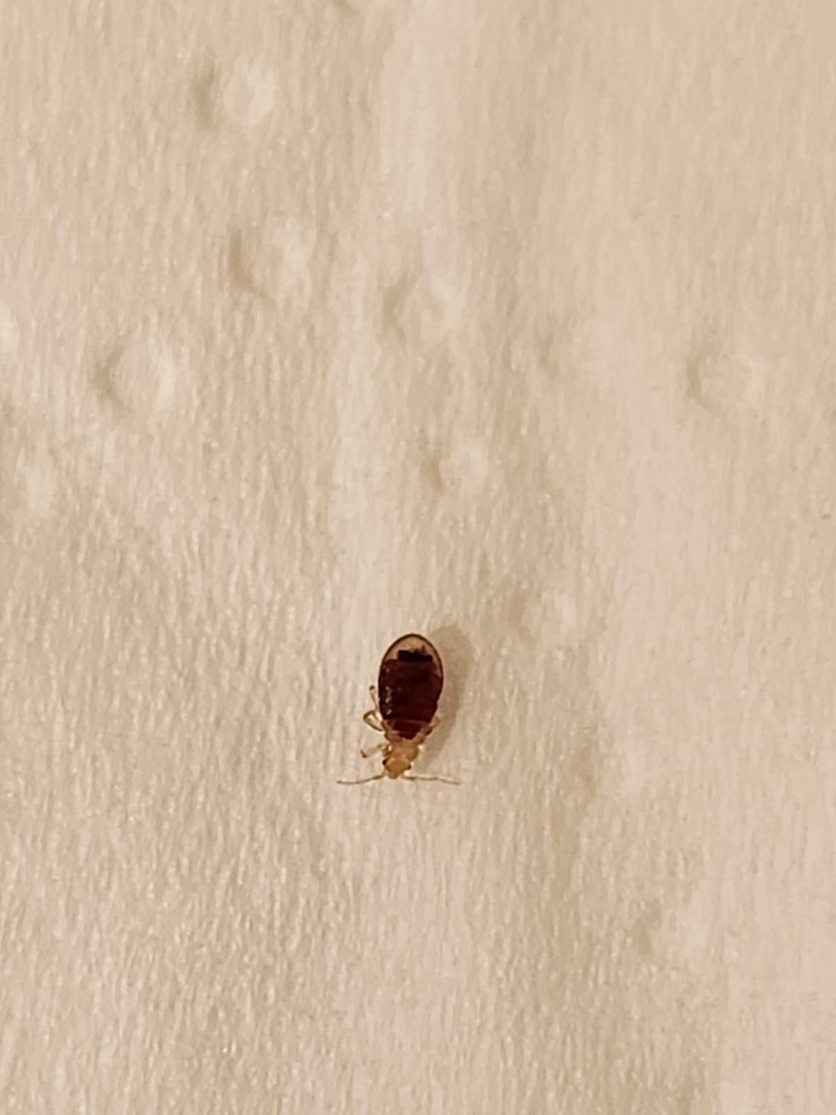 Photo by Trail35913402229