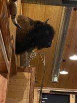 Photo by P985FJdianeg